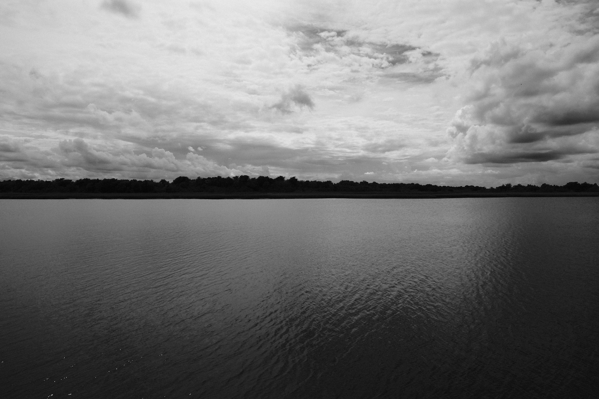 Dark Waters