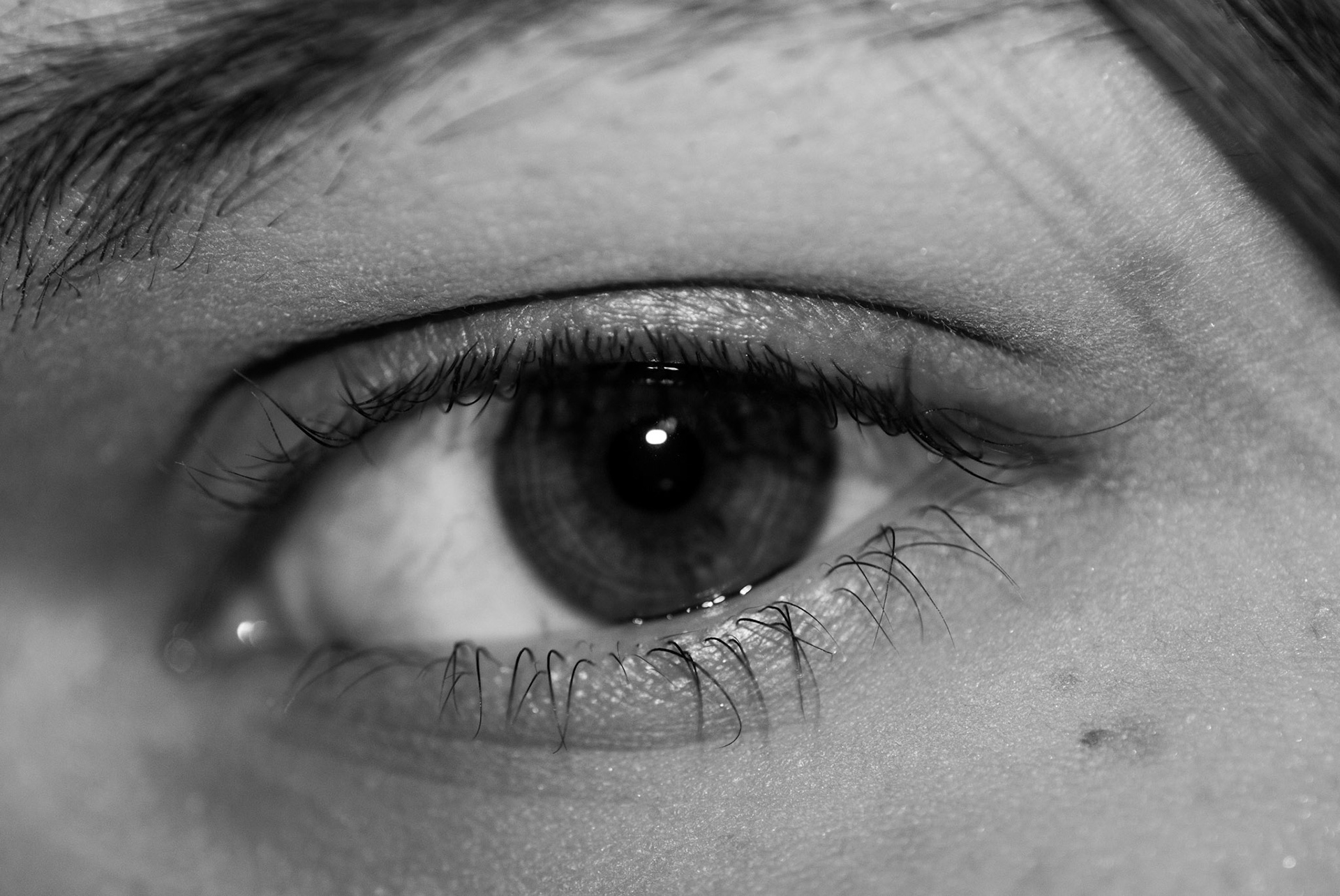 Window into The Soul