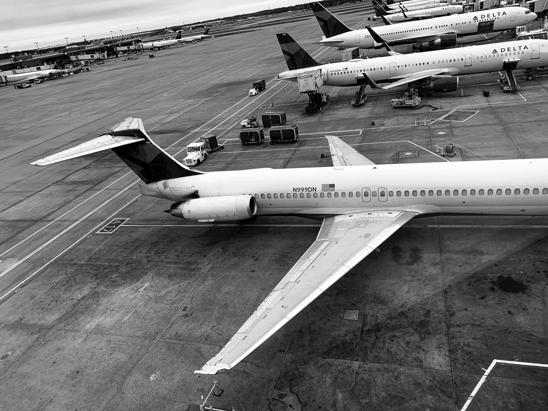 Birds Waiting to Fly