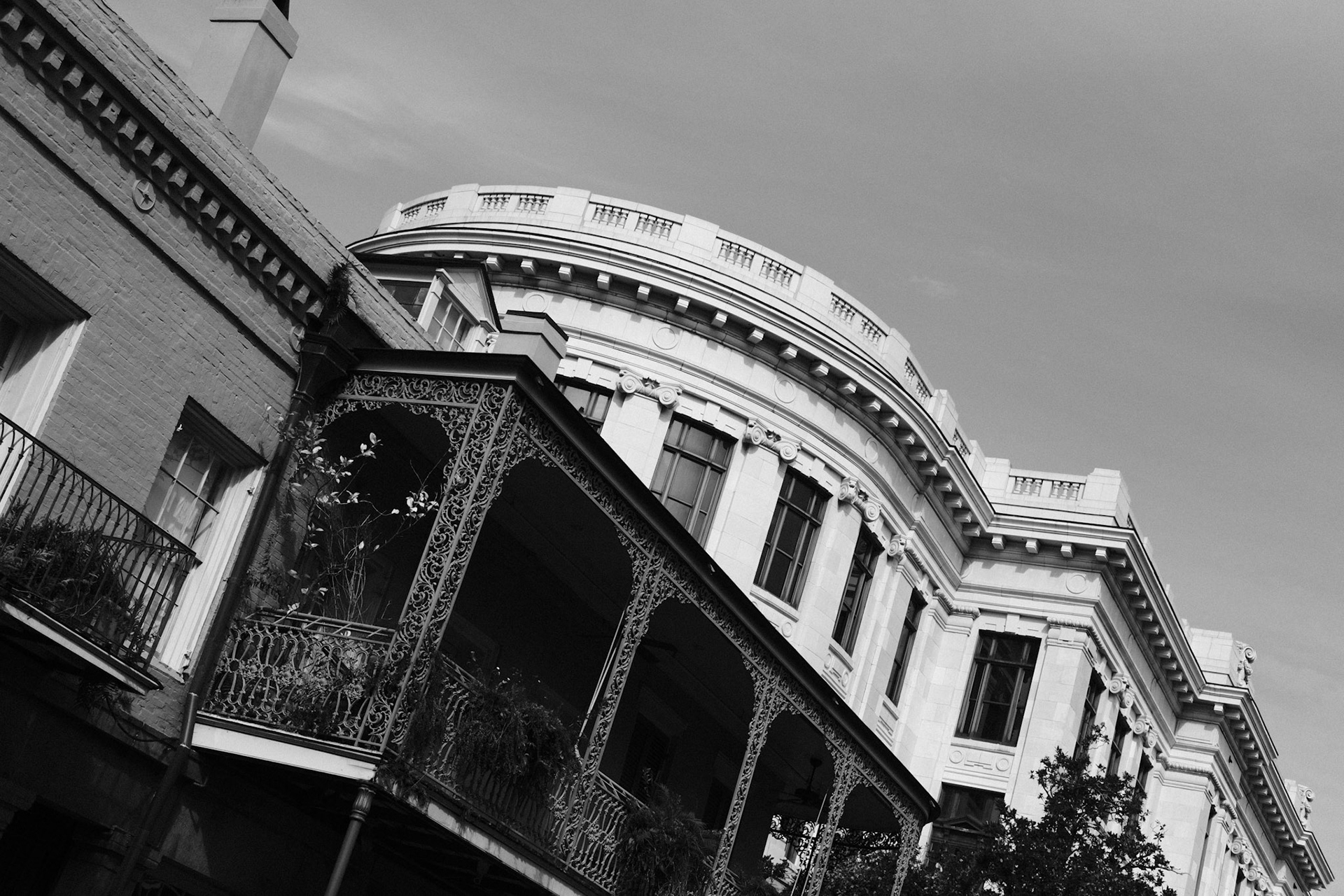Southern Beauty