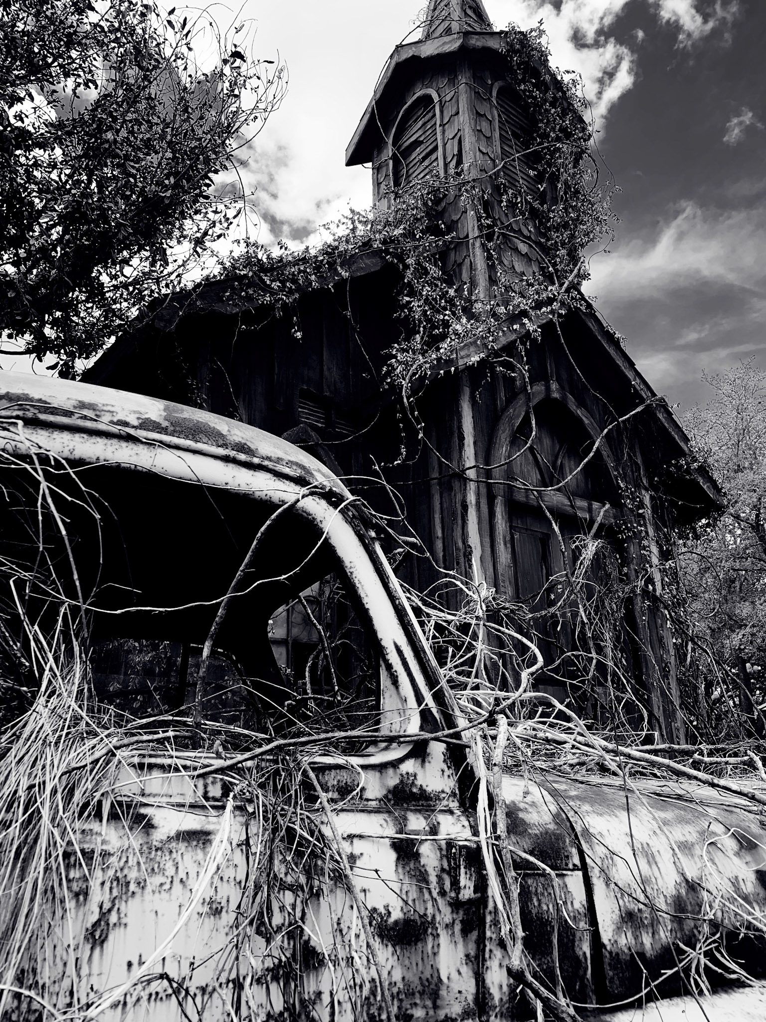 Nature Consumes