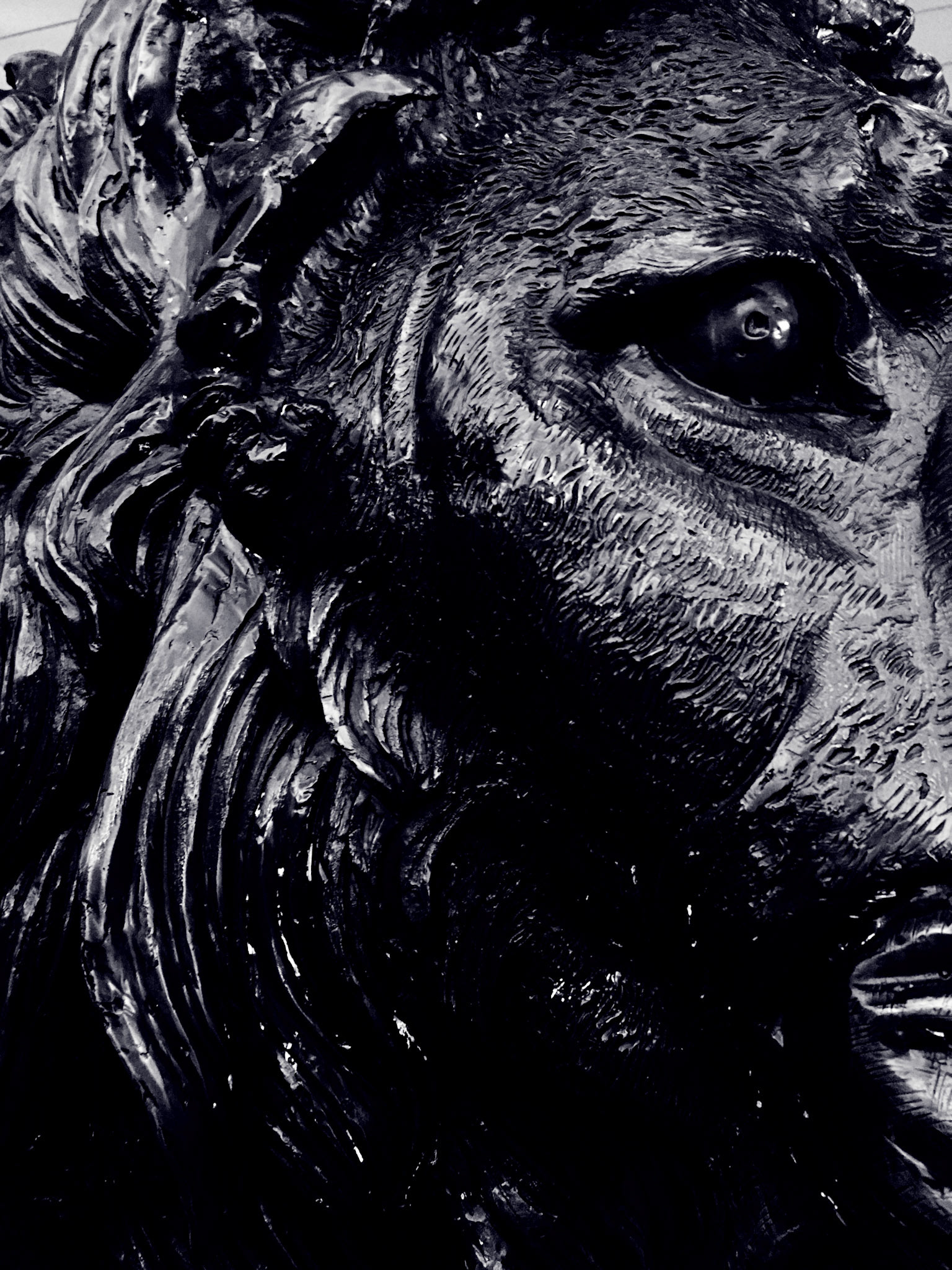 The Lion