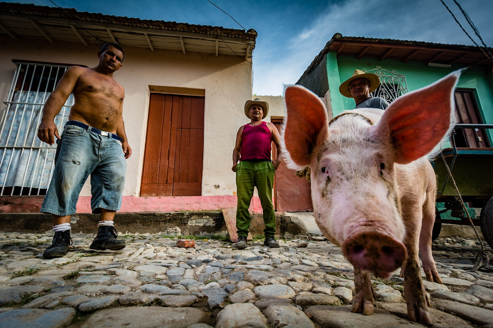 1.price Havana Tines 12th Contest