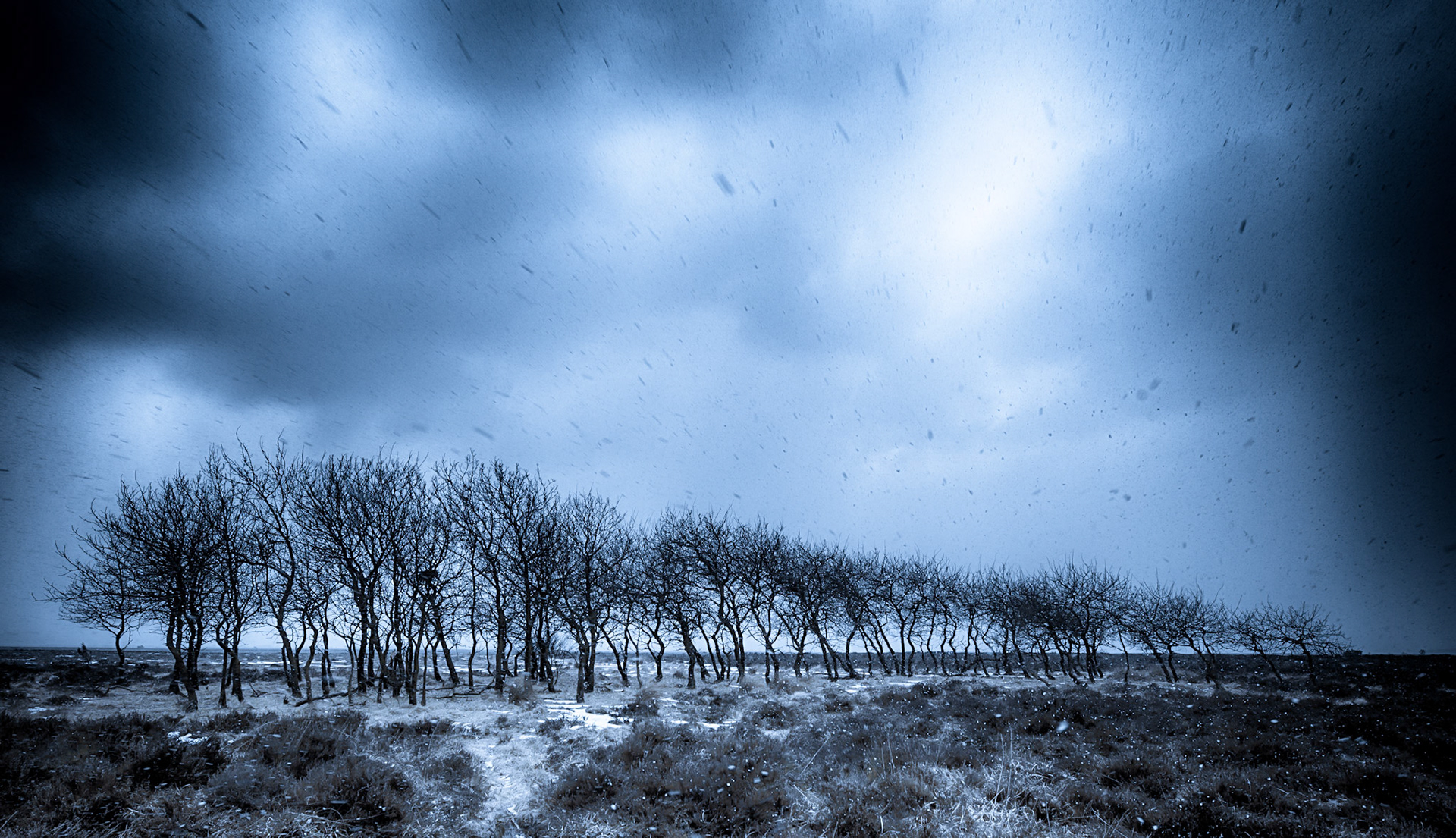 Vinter på Kongshede