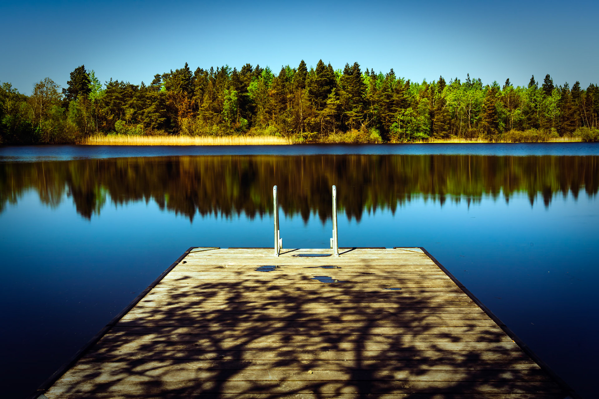 Meldgård Sø, NV for Fasterholt. Der er fisk i søen og den er nogenlunde klar.