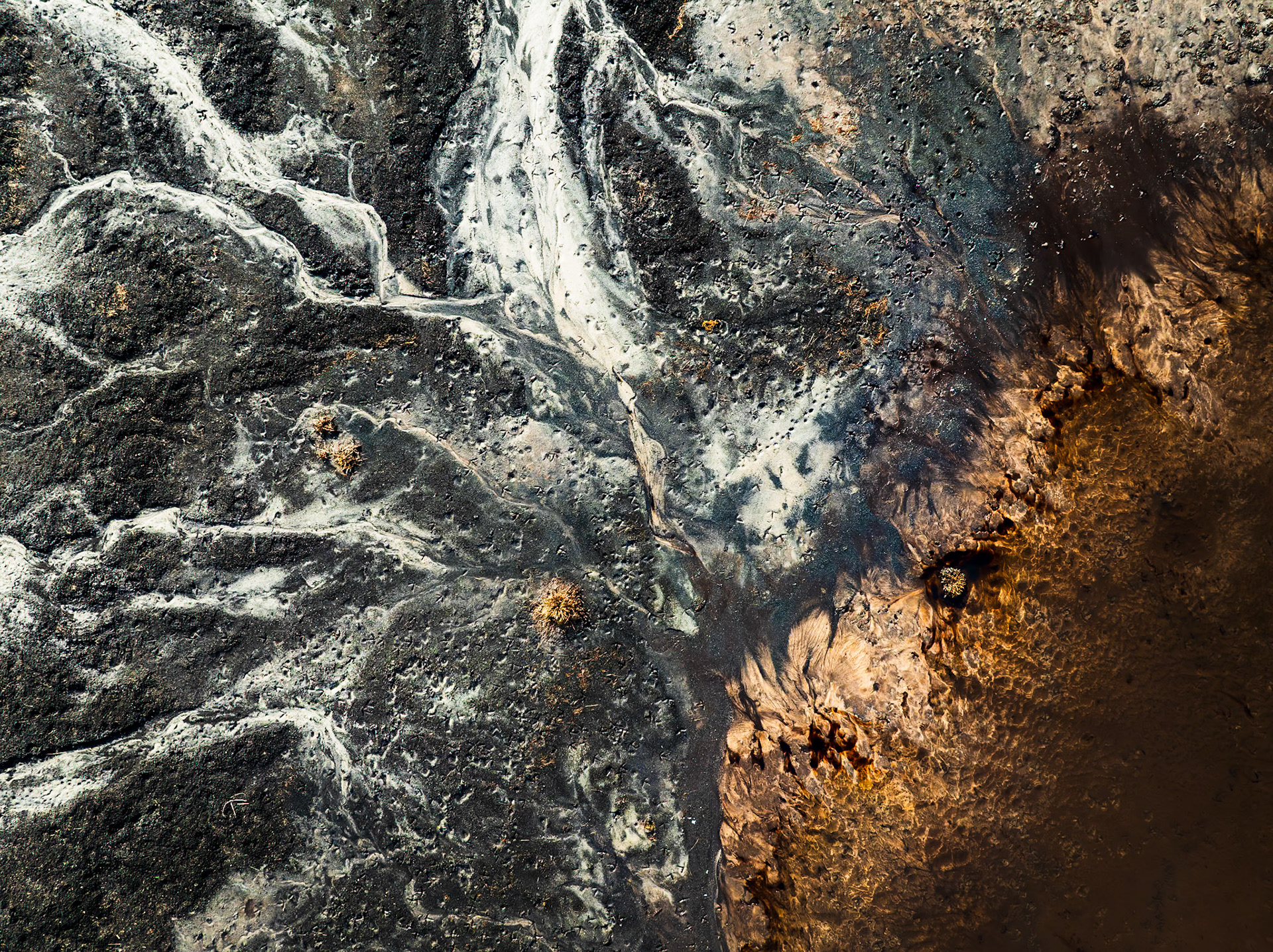 Okker, kul og kronhjort! Dyrelivet har særlige vilkår i de tidligere brunkulslejer. Her er næppe fisk, og derfor ingen fiskehejrer eller fiskeørne, men masser af kronvildt.