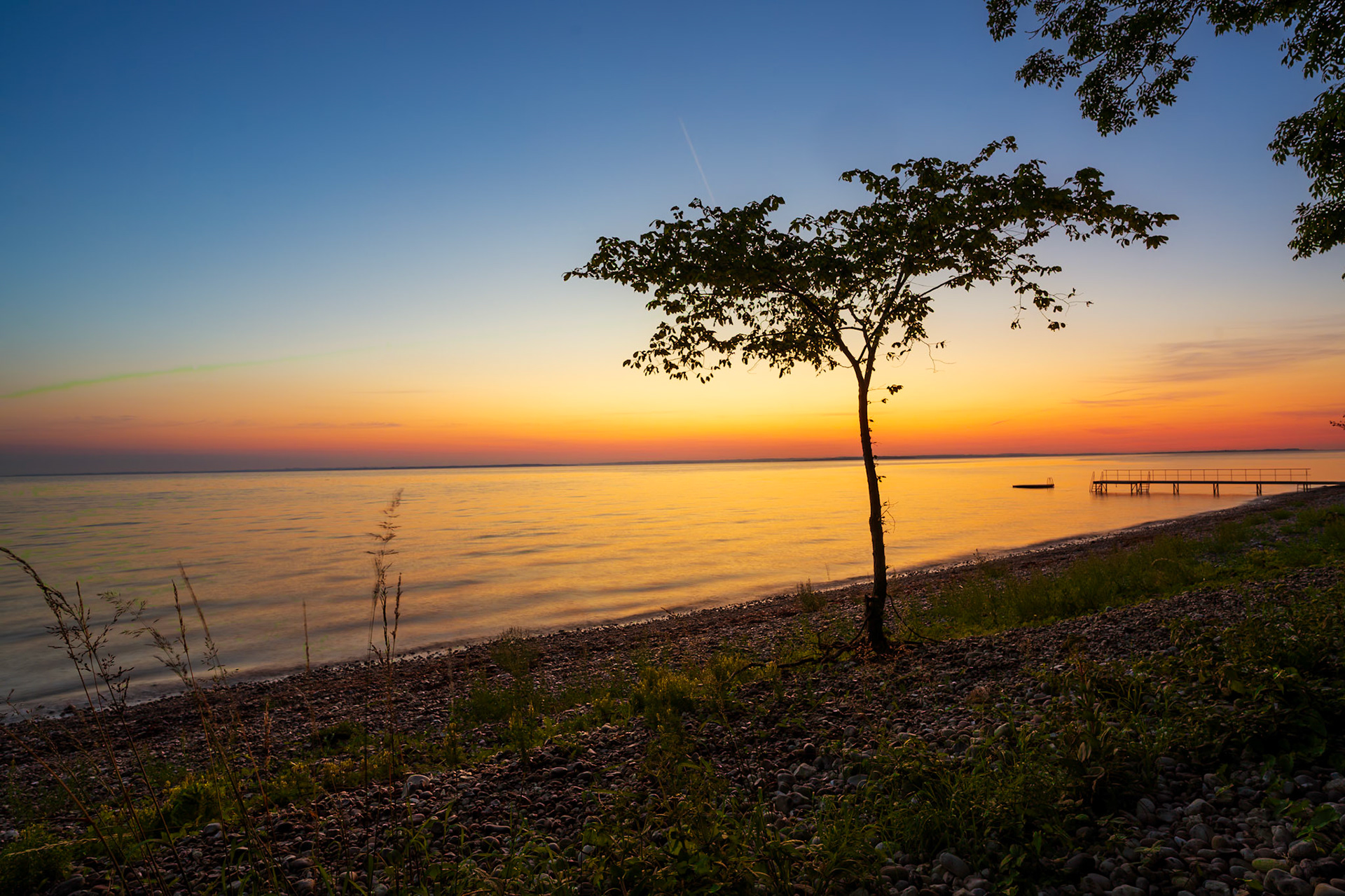 Tidlig morgen I Nørreskov, Als