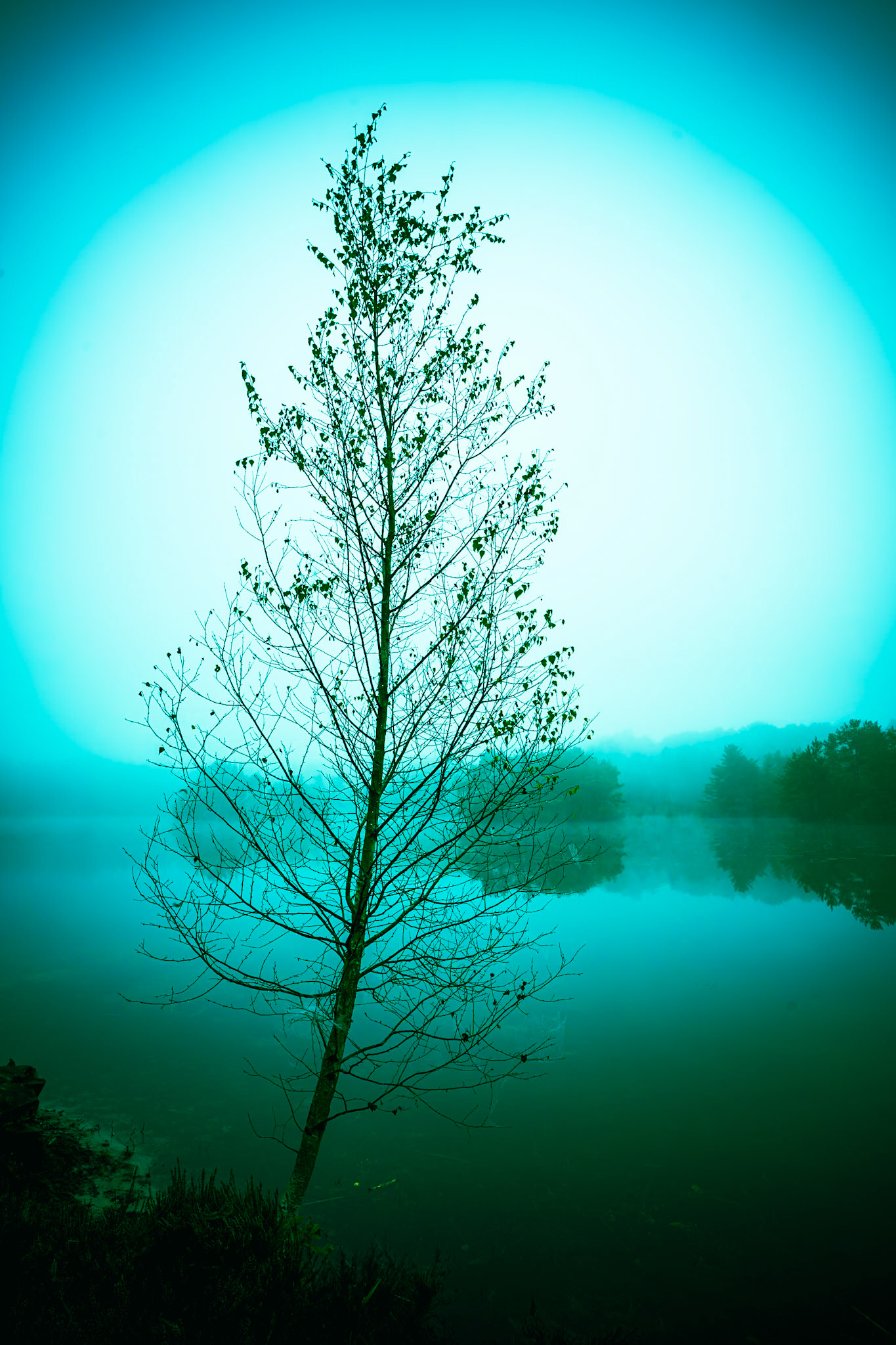 Schoubyes Sø, Silkeborg