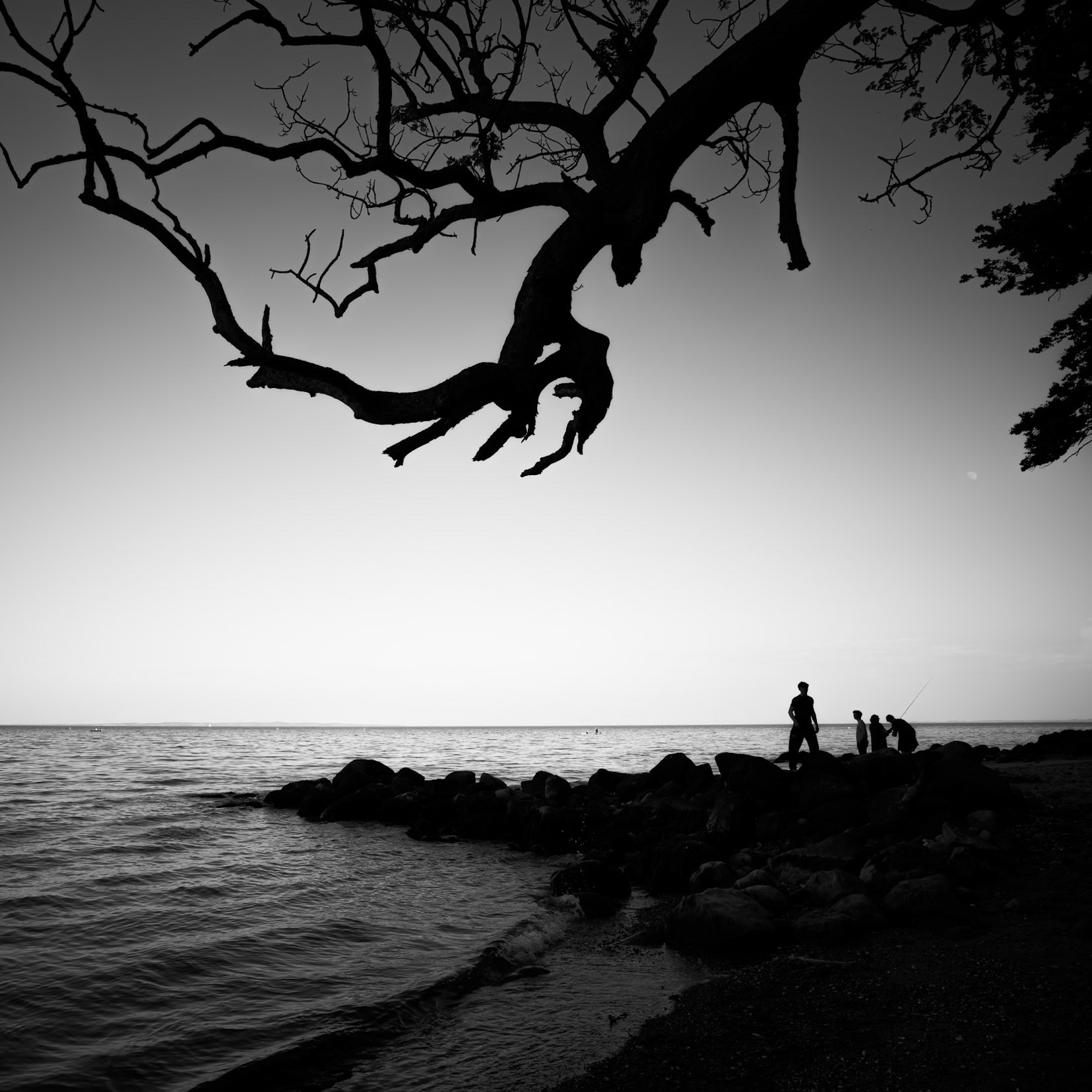 Marselis Skov, Aarhus