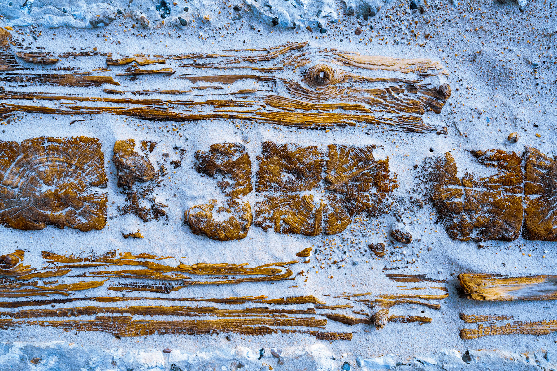 Detalje fra høfde ved Agger