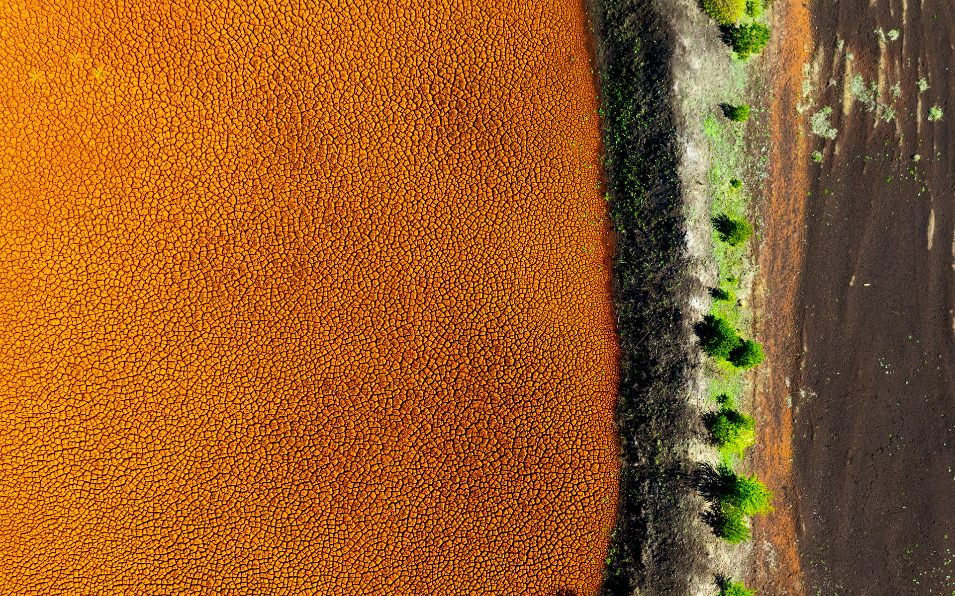 Brunkulslejet ved Haunstrup har en særlig skønhed og er samtidig en skamplet. Okker og pyrit forurenede vandet helt ned i Skjern Å, indtil man lavede det rensningsanlæg der stadig er i fuld gang. Her ses en af de okker-søer der udrenser okkeret - uden dette anlæg ville hele Skjern Å deltaet været hårdt ramt, selv 50 år efter lejet lukkede