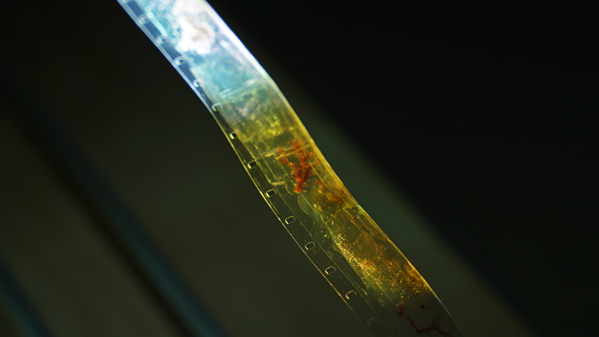 Moving Image + 16mm, Visual Arts Facility, San Diego, CA, 2025 