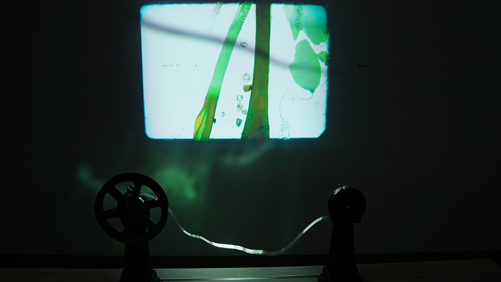Moving Image + 16mm, Visual Arts Facility, San Diego, CA, 2025 