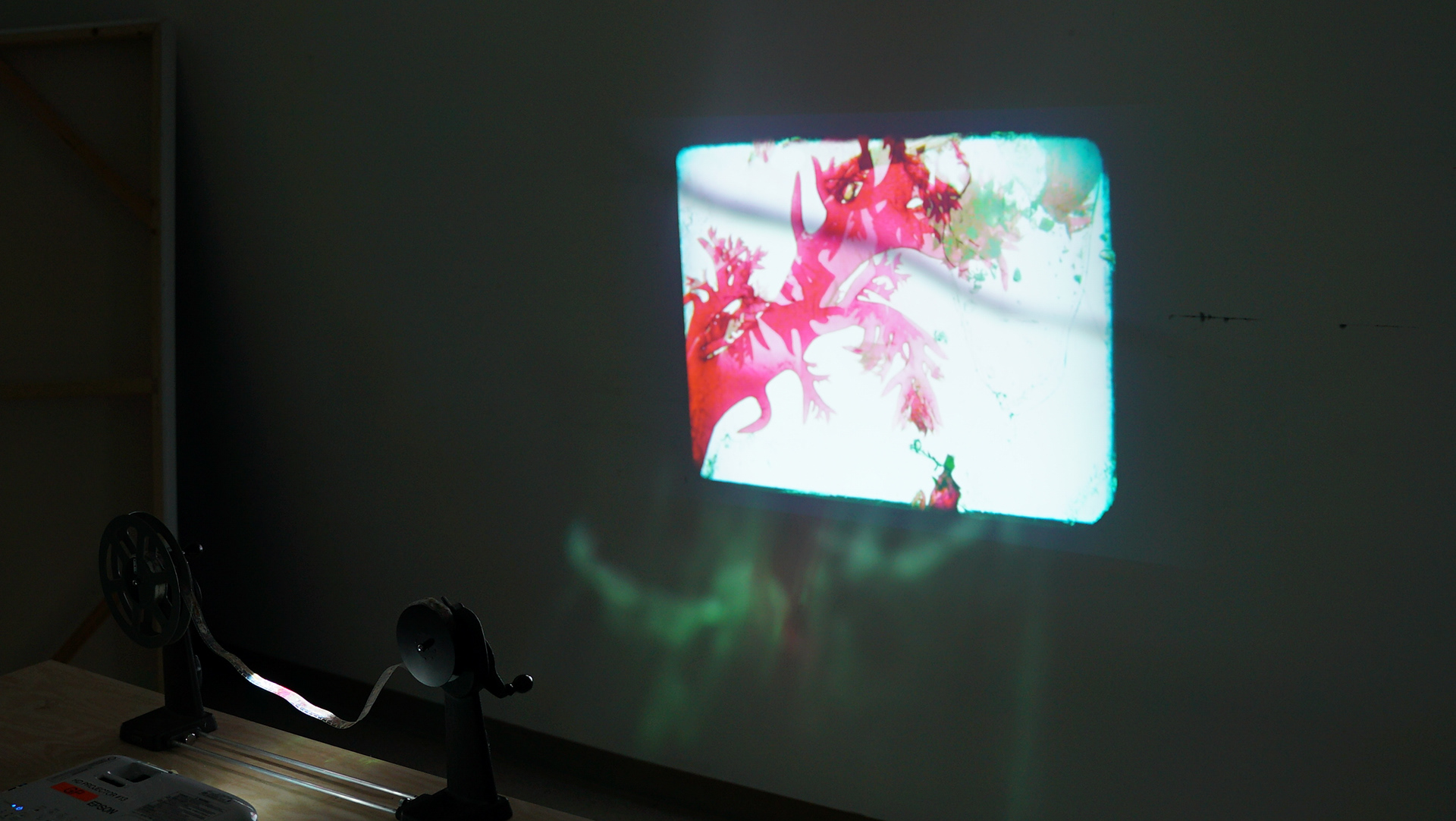 Moving Image + 16mm, Visual Arts Facility, San Diego, CA, 2025 