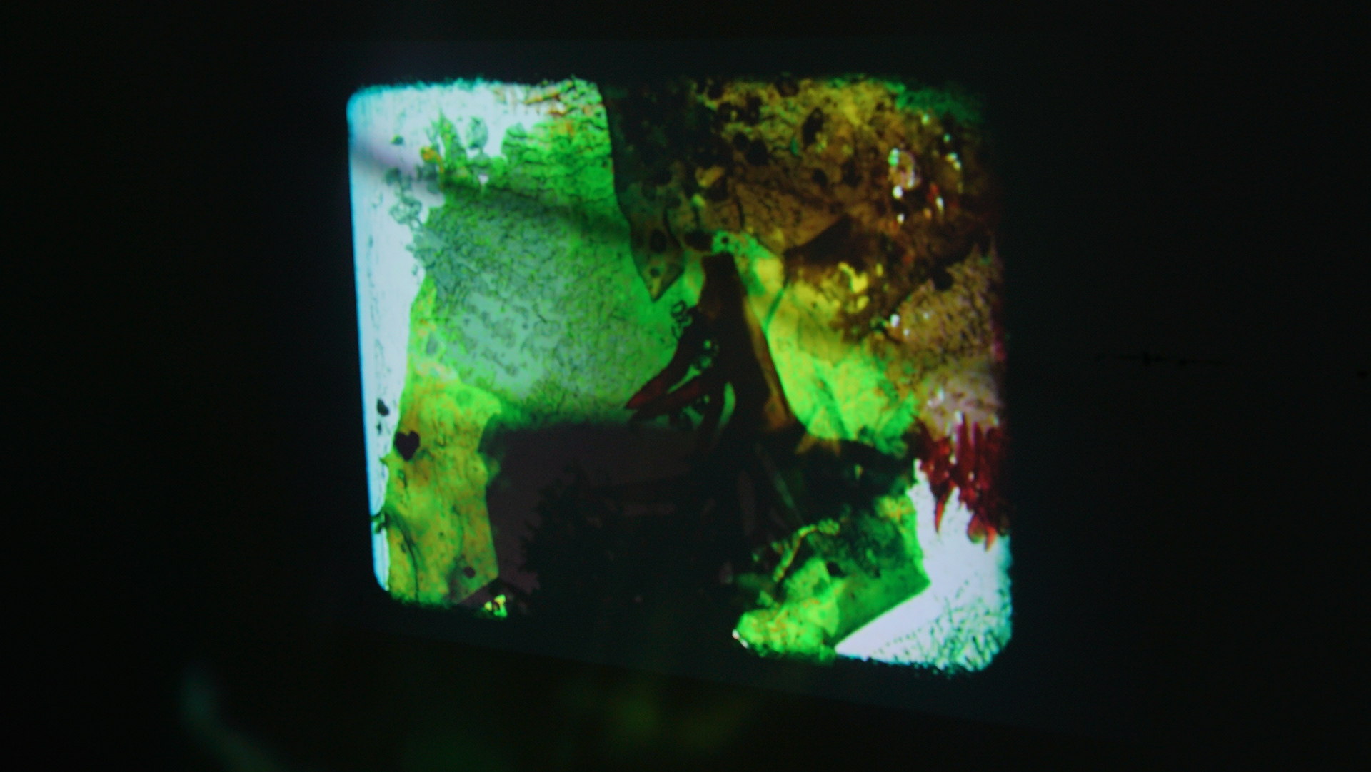 Moving Image + 16mm, Visual Arts Facility, San Diego, CA, 2025 