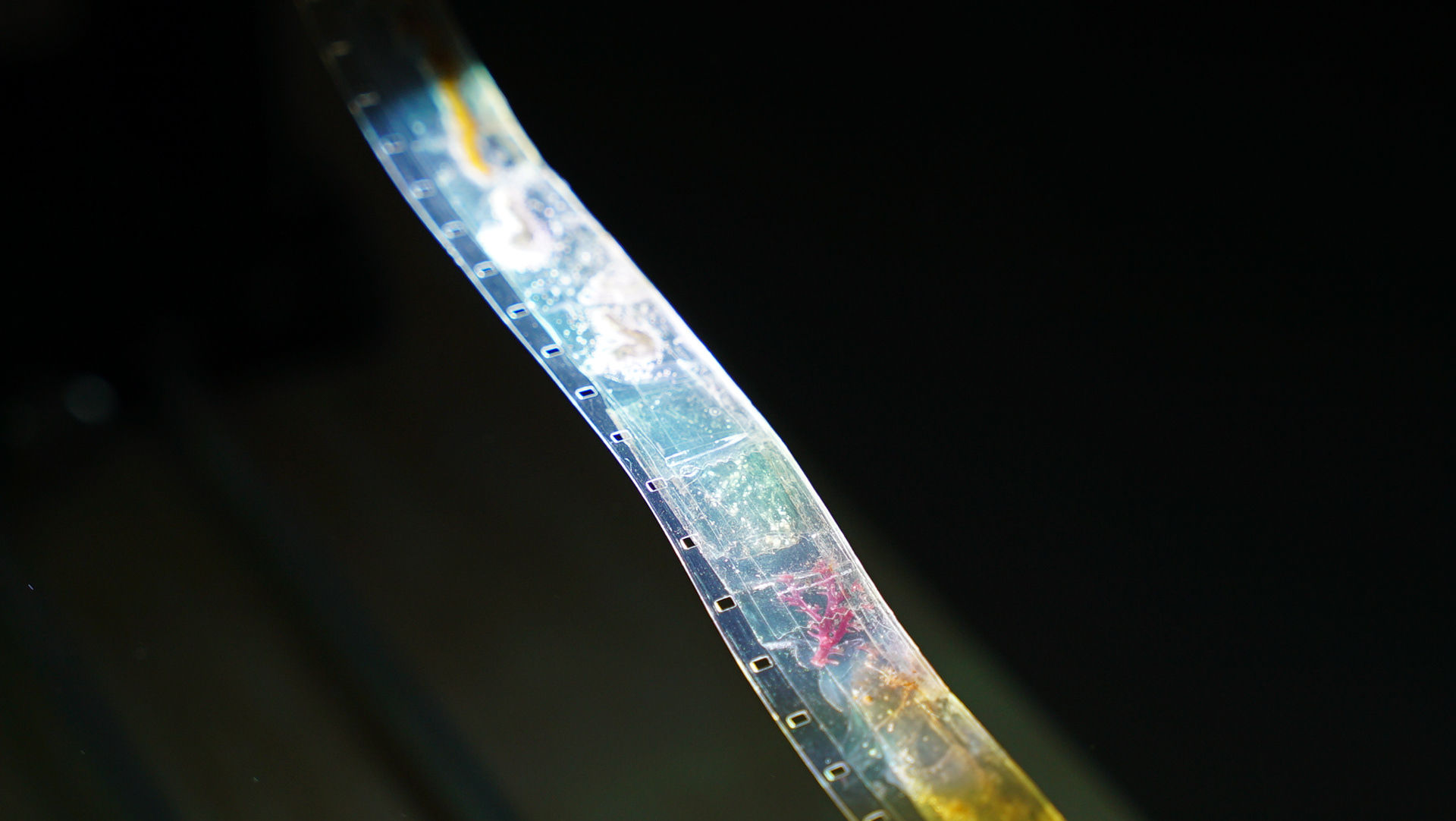 Moving Image + 16mm, Visual Arts Facility, San Diego, CA, 2025 