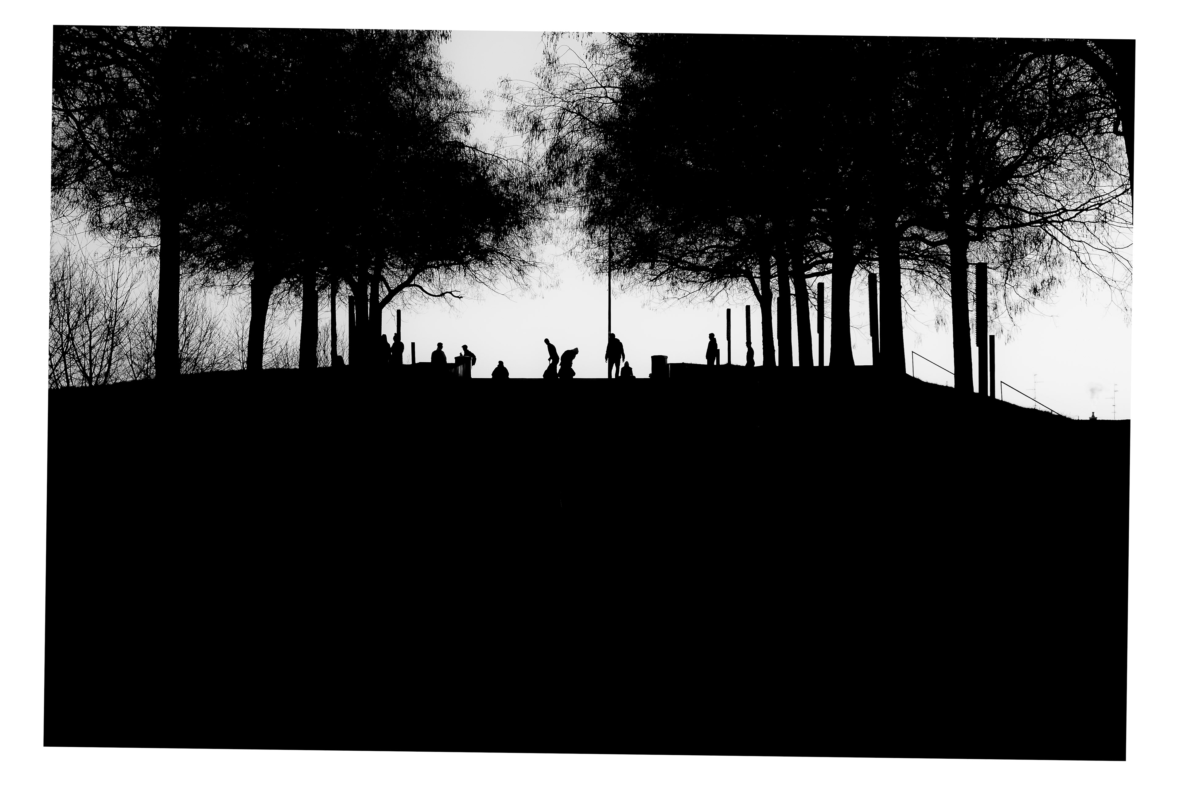 In the shadows