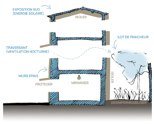 ESQUISSE _ coupe d'intentions bioclimatiques