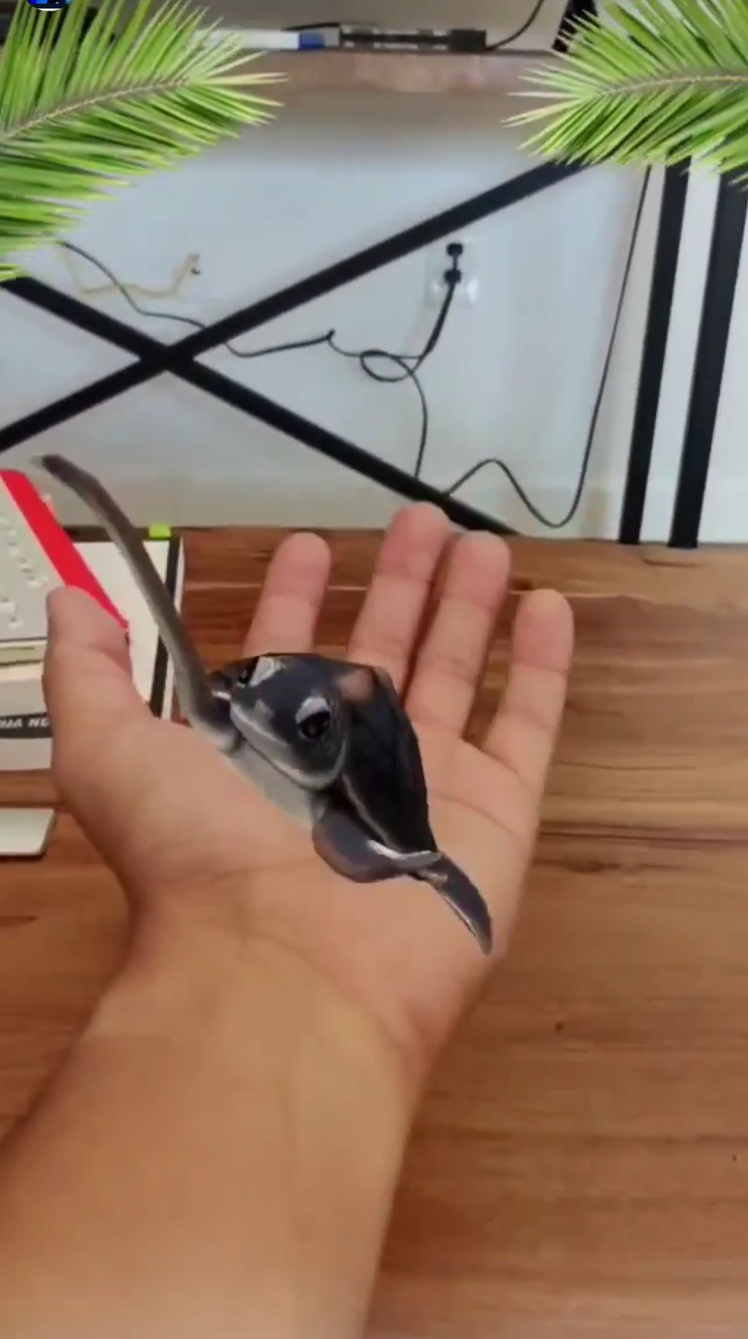 Enabling 3D object hand tracking.
