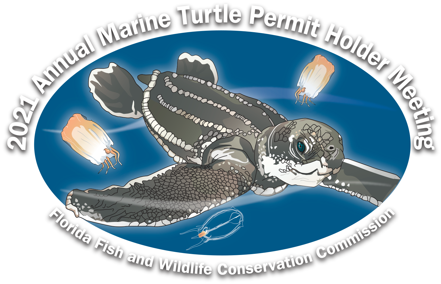 Project SHELL was featured at the 2021 Annual Marine Turtle Permit Holder Meeting hosted by the Florida Fish and Wildlife Conservation Commission