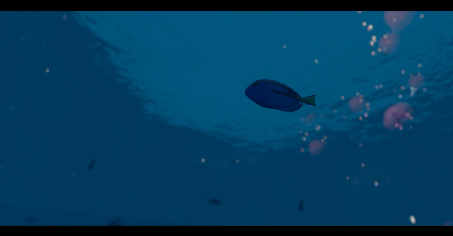 Return to the ocean in search of food