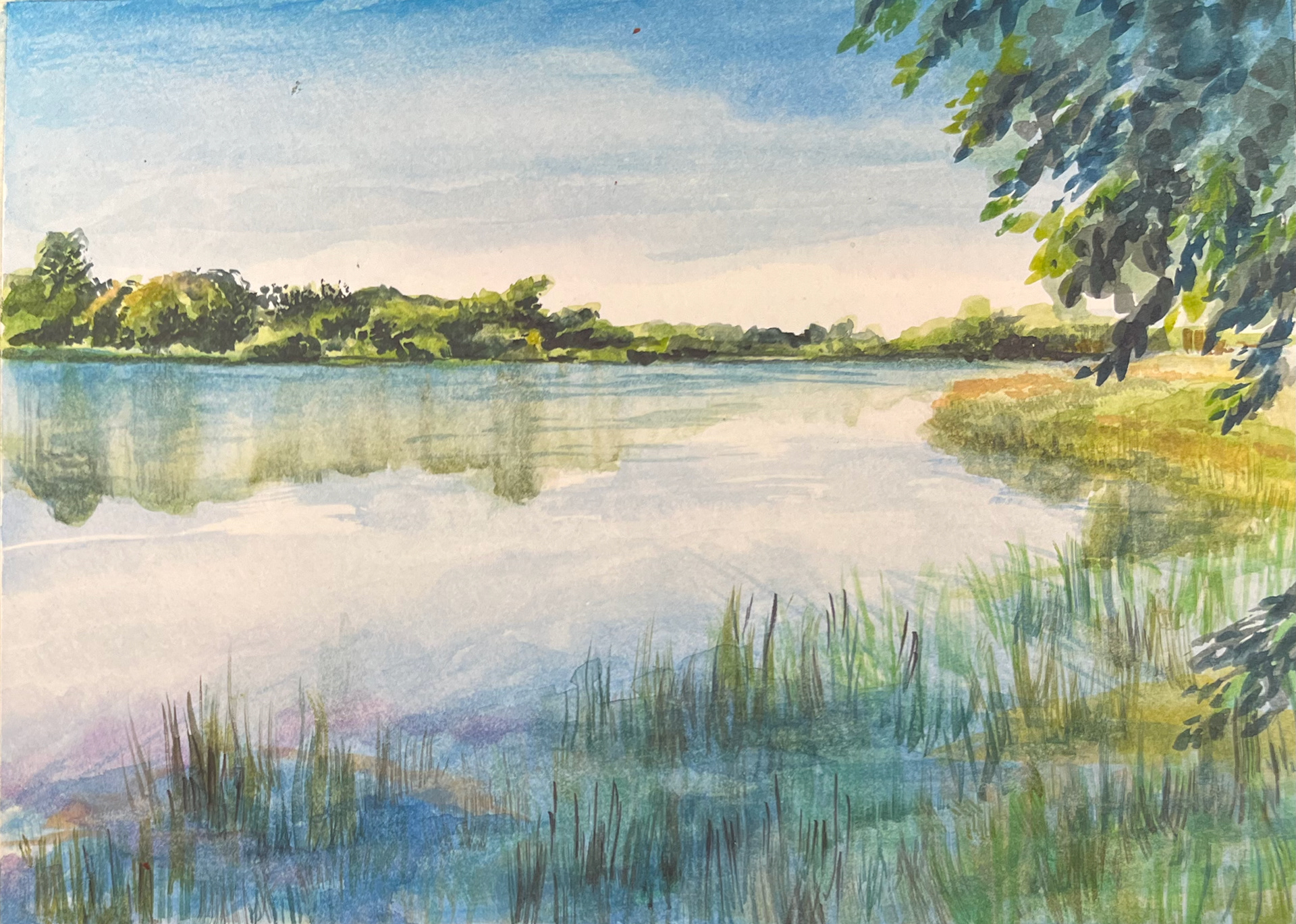 Summer Pond, 2023, watercolor, 9" x 12"