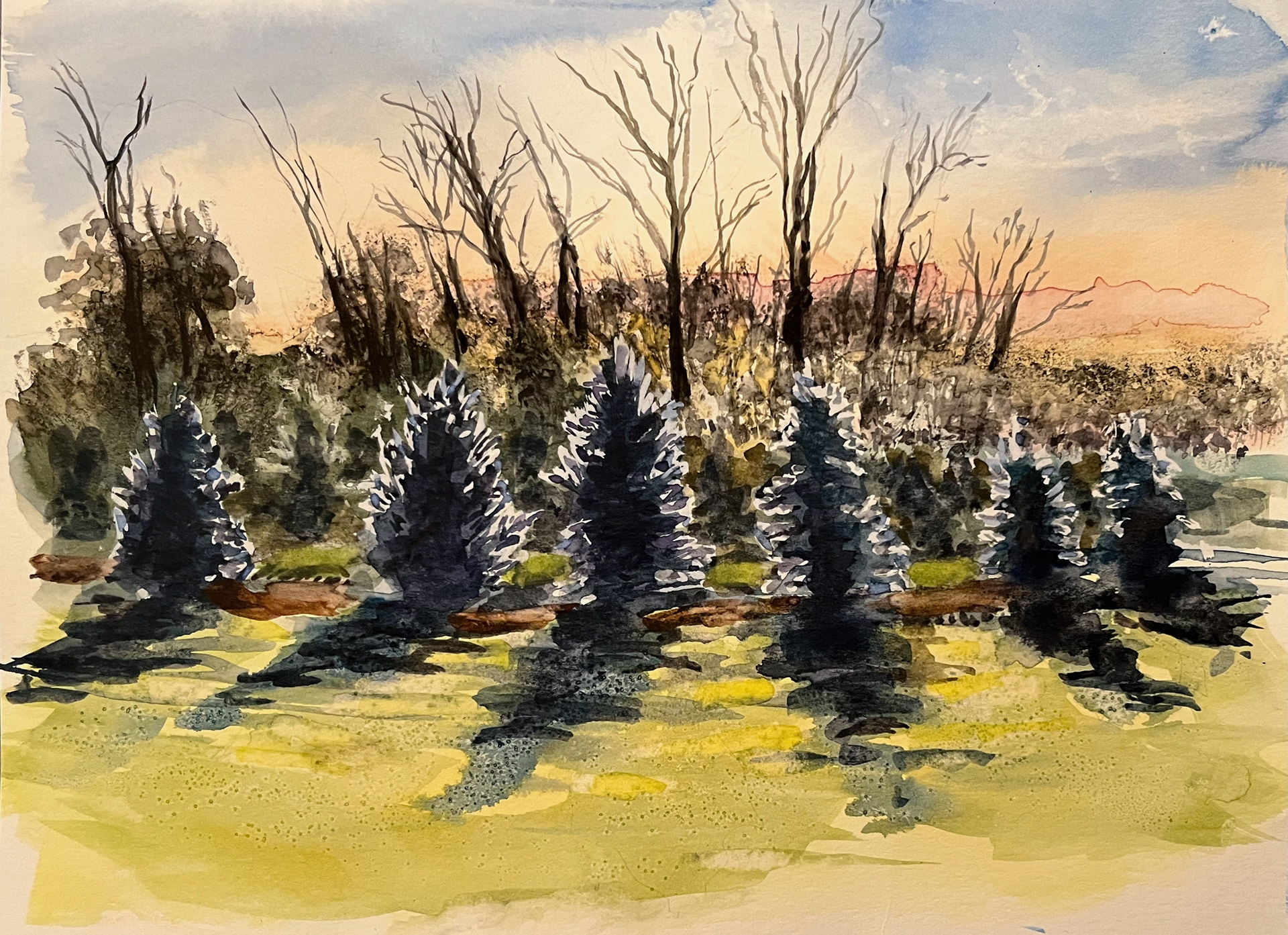 Winter Afternoon, 2023, watercolor, 9" x 12"