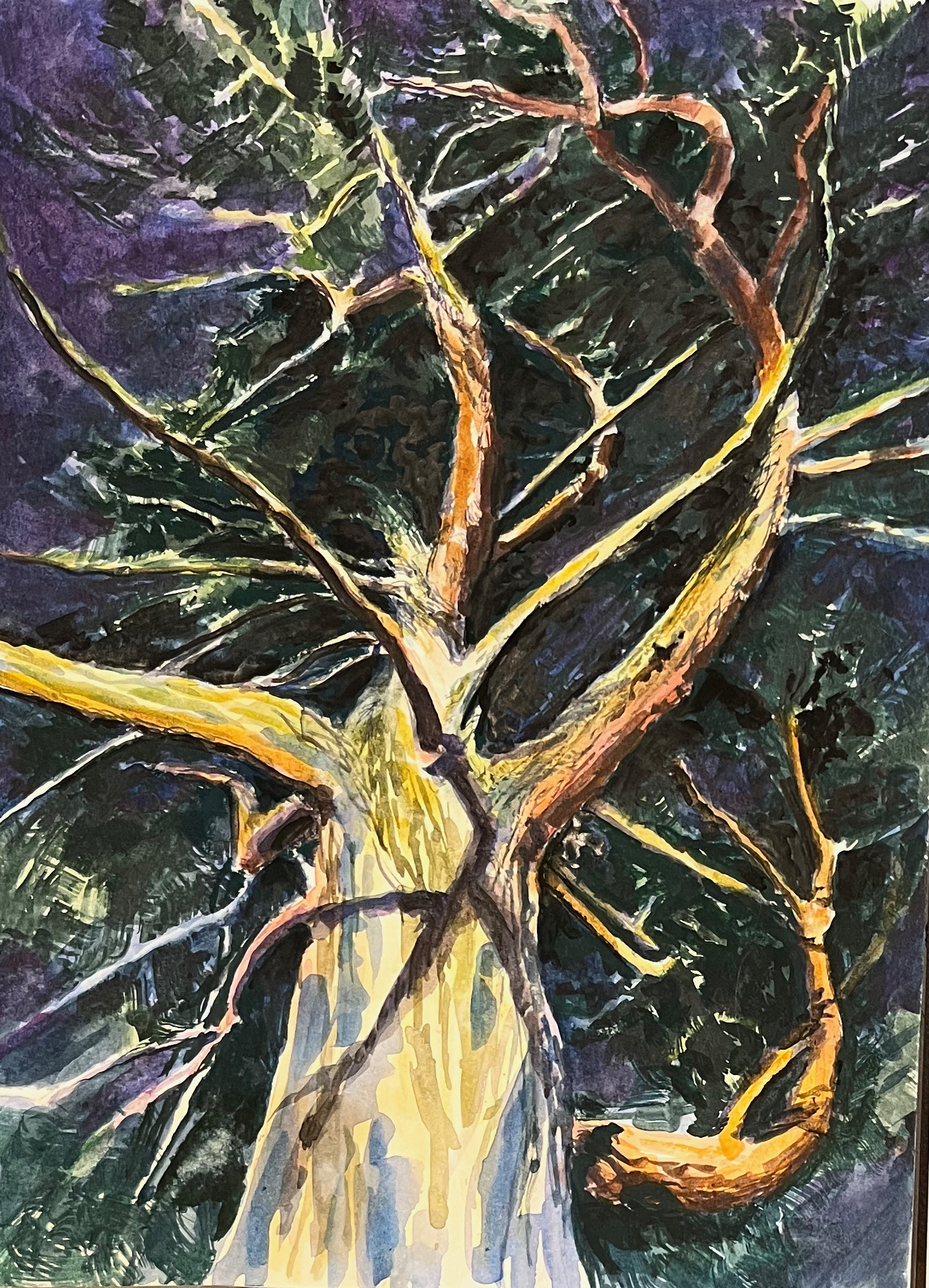Wild Tree, 2024, watercolor and gouache on paper, 12” x 9”