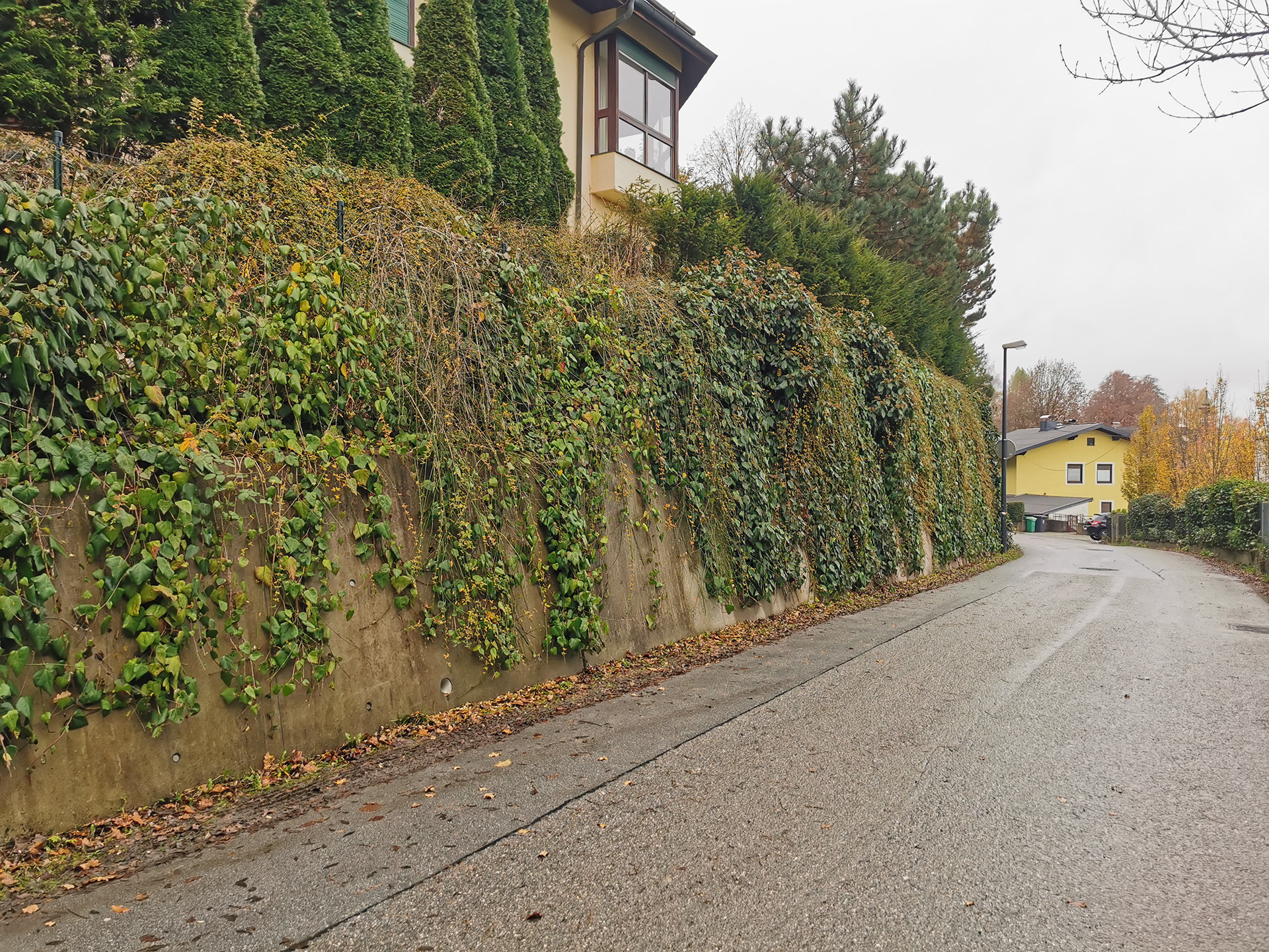 Statik+ÖBA  Stützmauer Kühbergstrasse