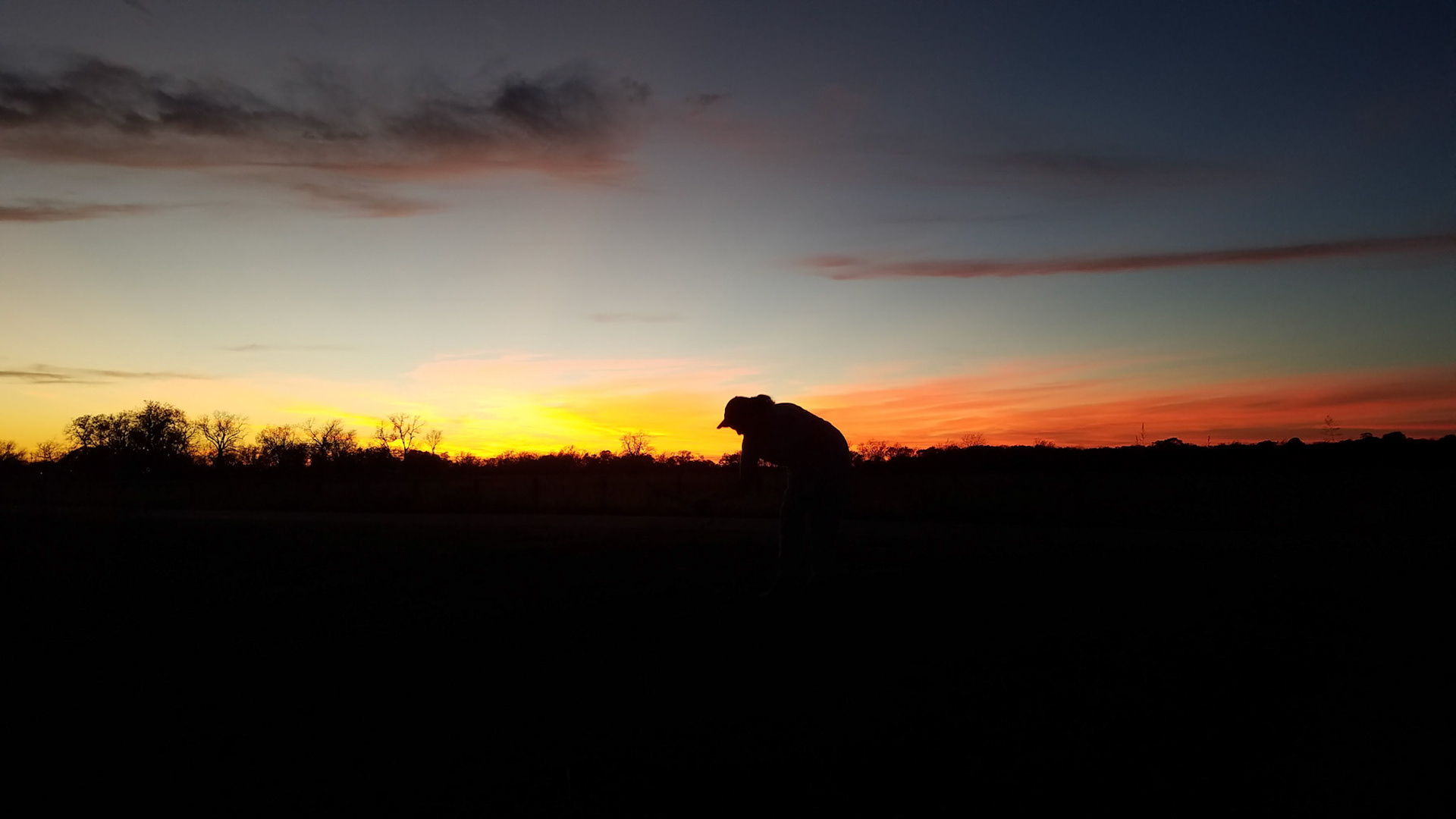 Working Till Sundown 