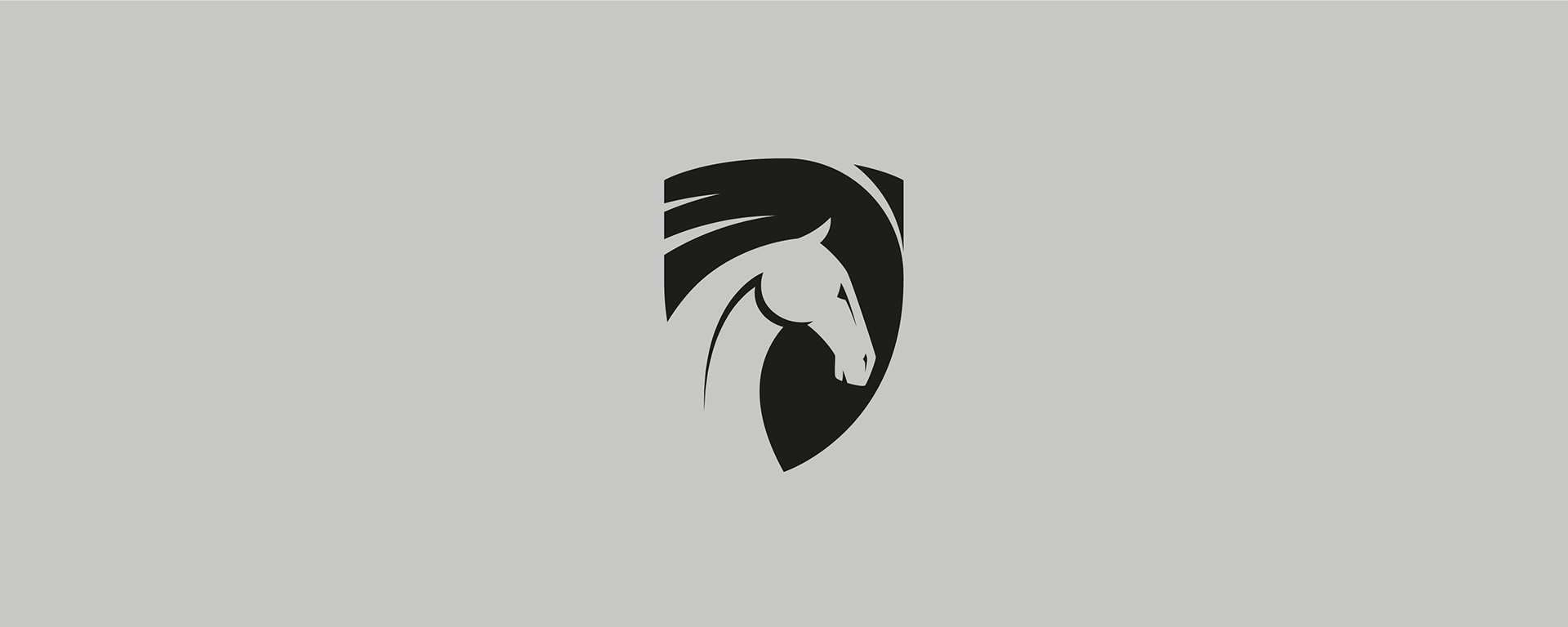 PEGASUS - Window Cleaners