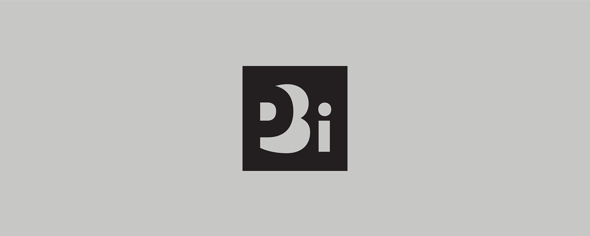 PBi CONSULTING