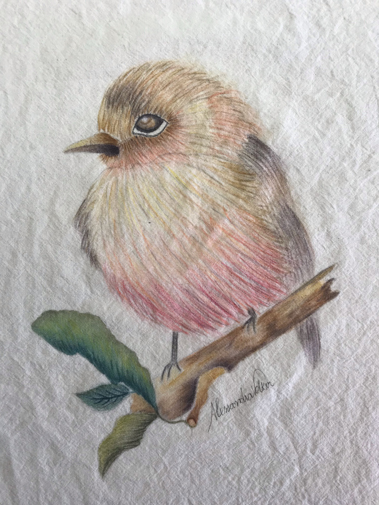 Bird