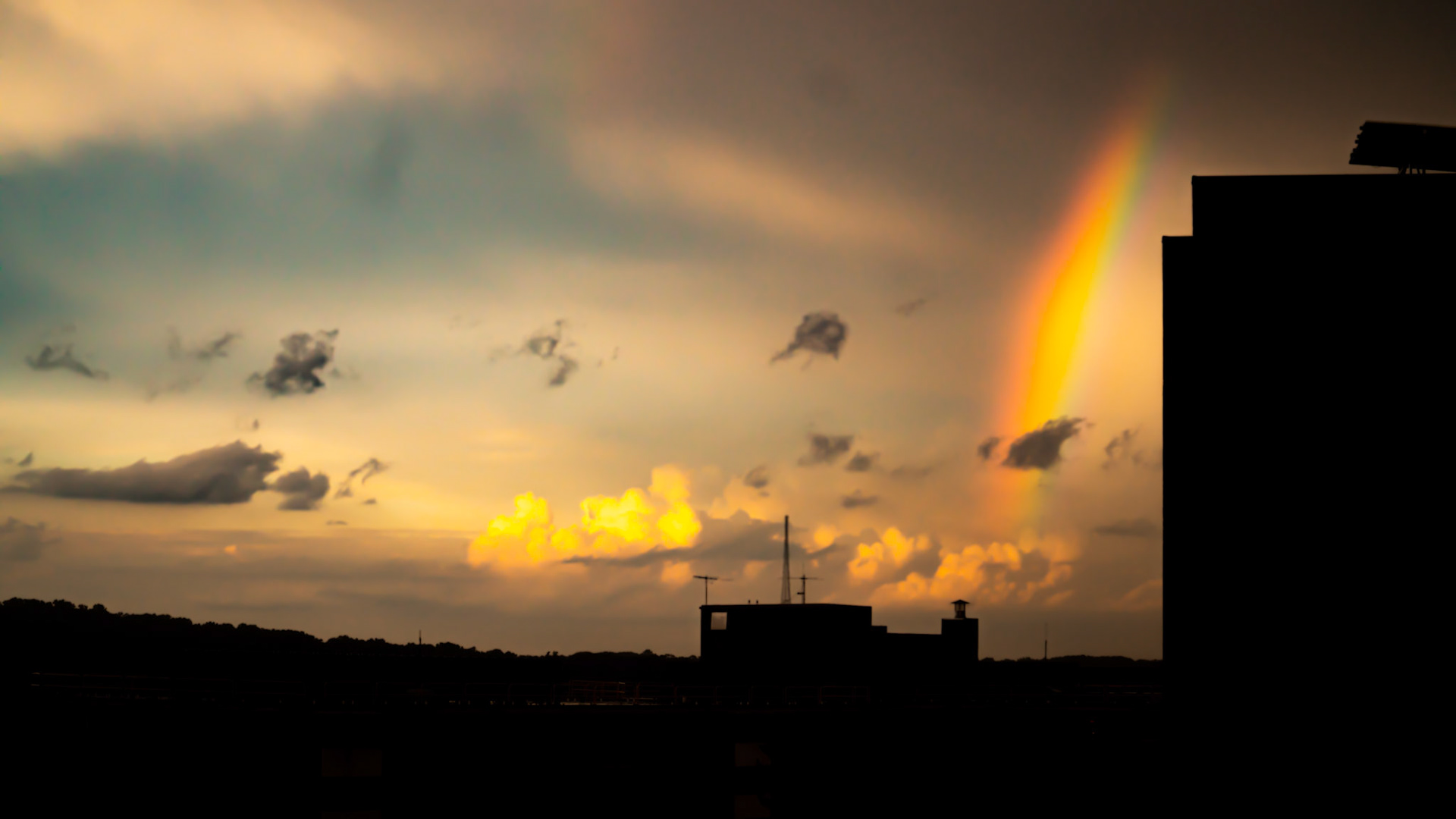 "Opportunity is my gold at the end of the rainbow"