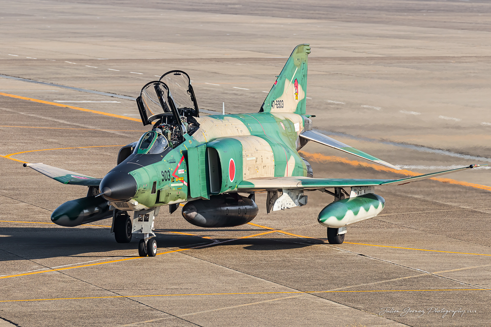 Mc Donnell Douglas RF-4E Phantom II - Japan Air Self Defense Force - Teisatsu Kokutai / 501 Hikotai