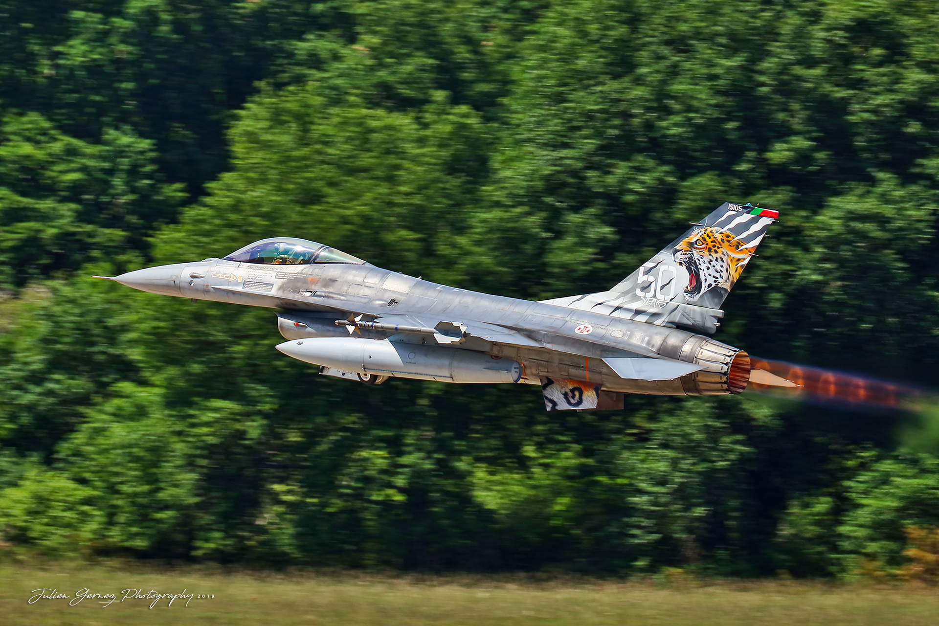General Dynamics F-16AM Fighting Falcon - Portuguese Air Force - 301 Esq "Jaguares"