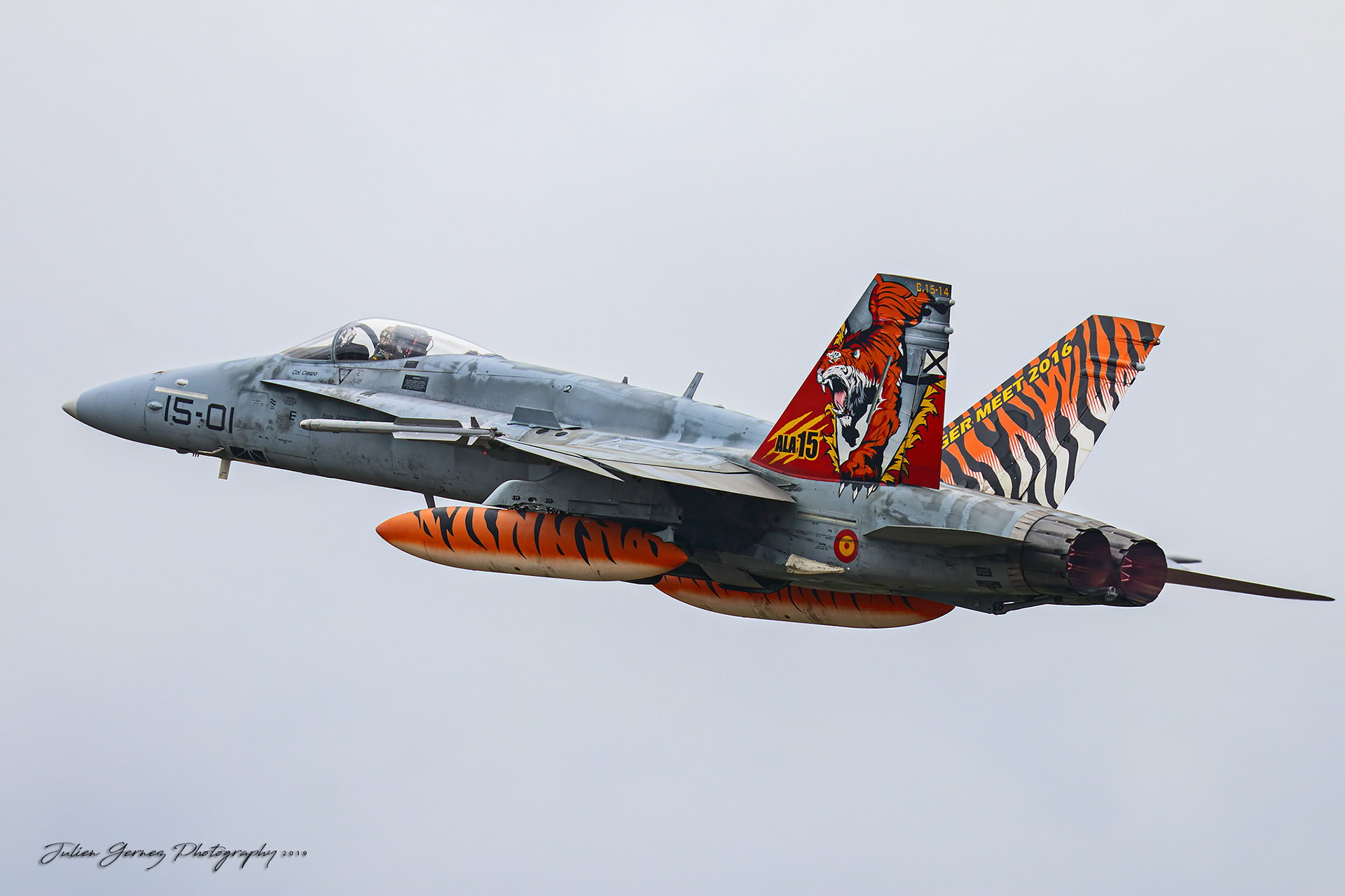 Mc Donnell Douglas EF-18M Hornet - Spanish Air Force - Ala15