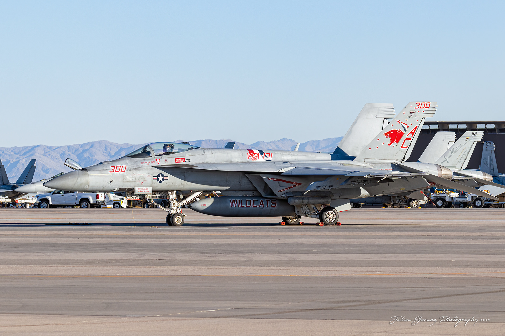 Boeing F/A-18E Super Hornet - US Navy - VFA-131 "Wildcats"