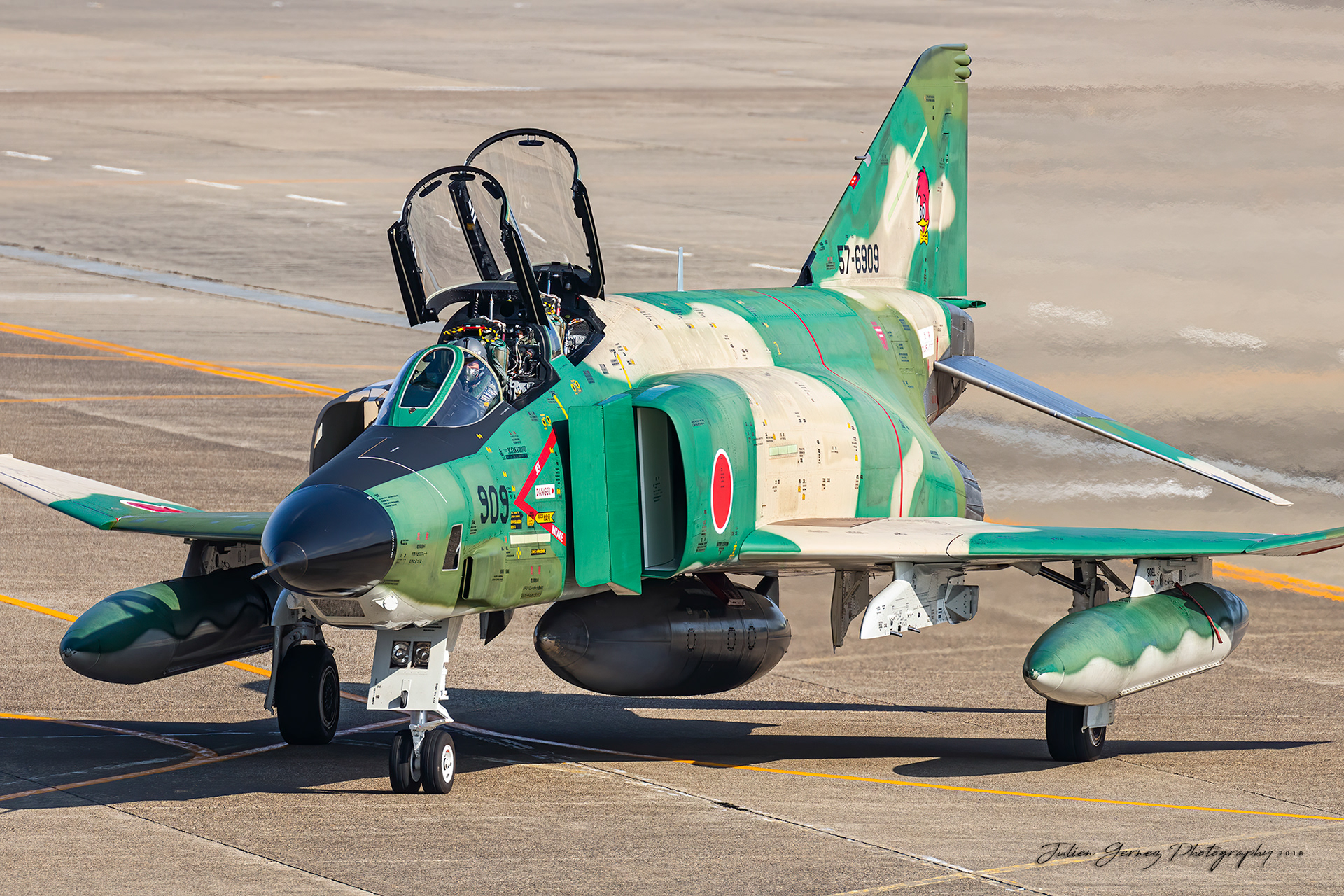 Mc Donnell Douglas RF-4E Phantom II - Japan Air Self Defense Force - Teisatsu Kokutai / 501 Hikotai