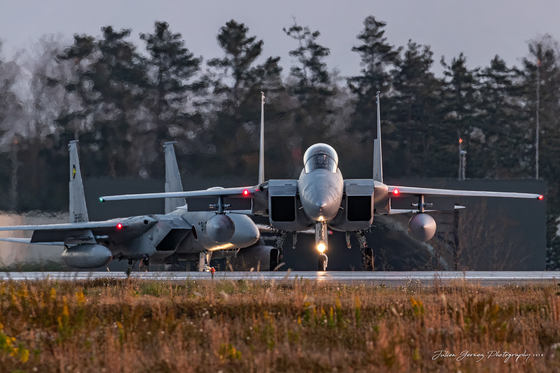 Mc Donnell Douglas F-15J Eagle - Japan Air Self Defense Force - 6 Kokudan / 306 Hikotai