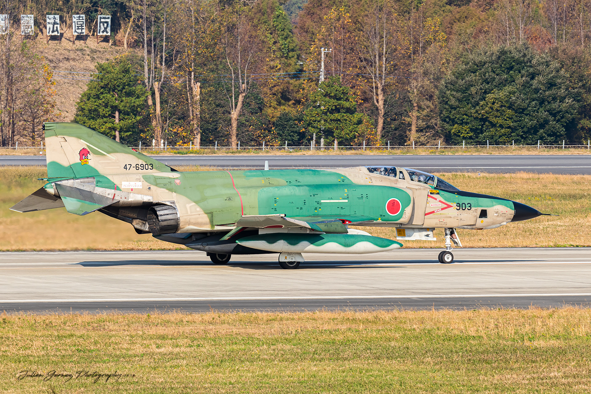 Mc Donnell Douglas RF-4E Phantom II - Japan Air Self Defense Force - Teisatsu Kokutai / 501 Hikotai