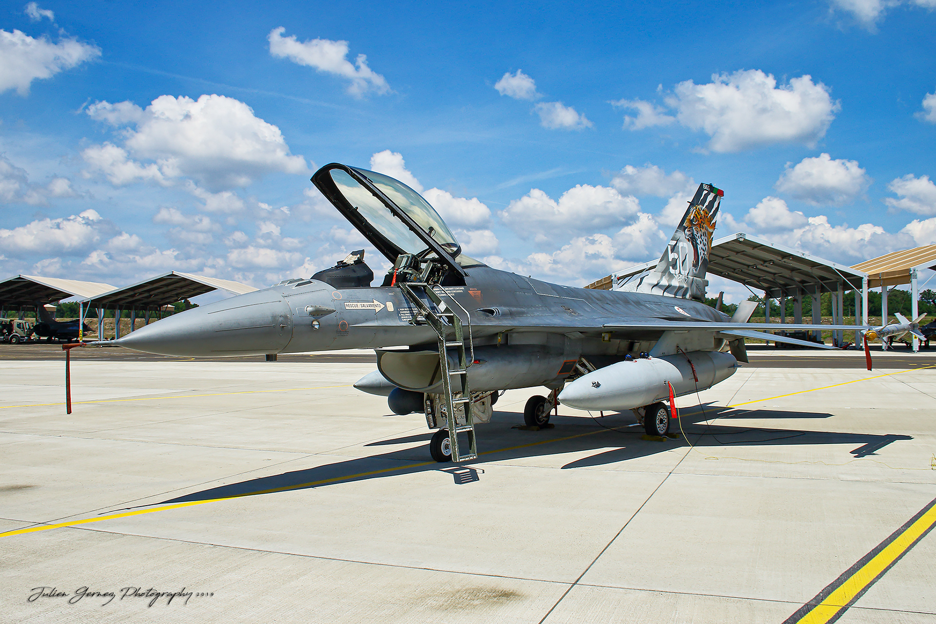 General Dynamics F-16AM Fighting Falcon - Portuguese Air Force - 301 Esq "Jaguares"