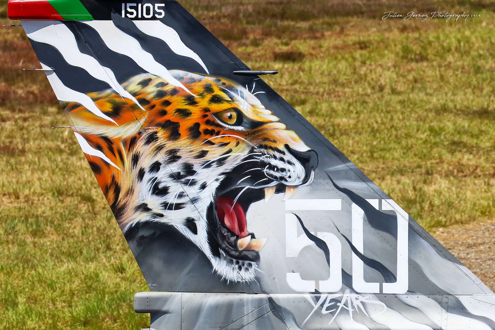 General Dynamics F-16AM Fighting Falcon - Portuguese Air Force - 301 Esq "Jaguares"