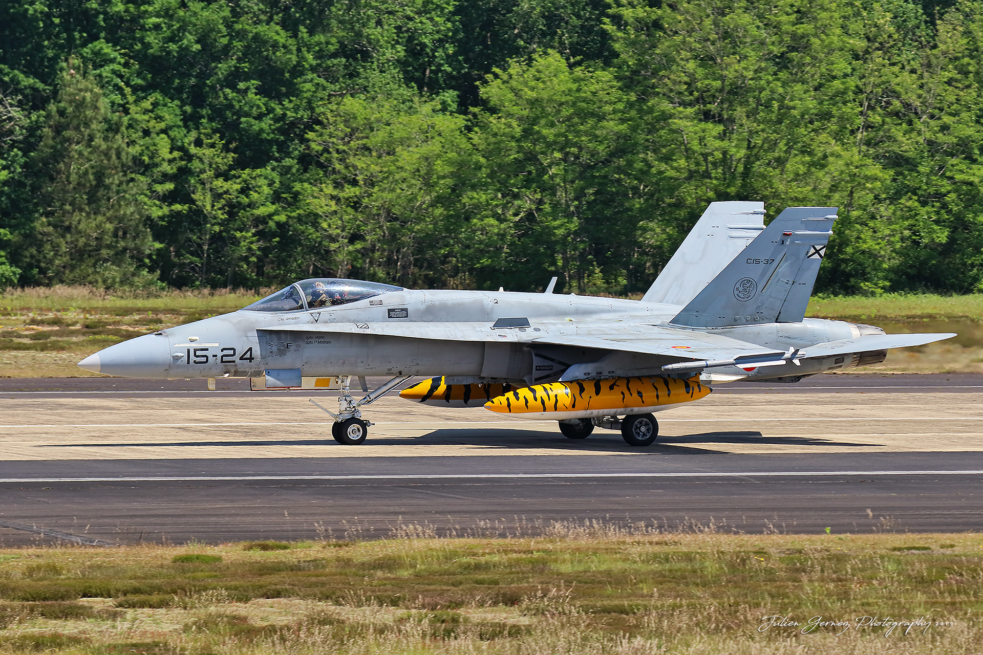 Mc Donnell Douglas EF-18M Hornet - Spanish Air Force - Ala15