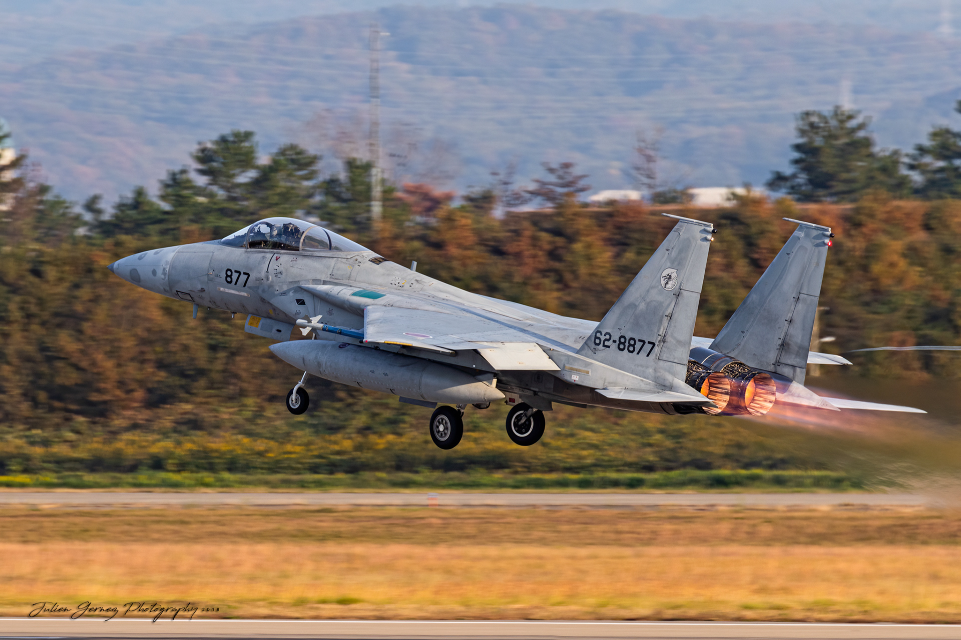 Mc Donnell Douglas F-15J Eagle - Japan Air Self Defense Force - 6 Kokudan / 303 Hikotai