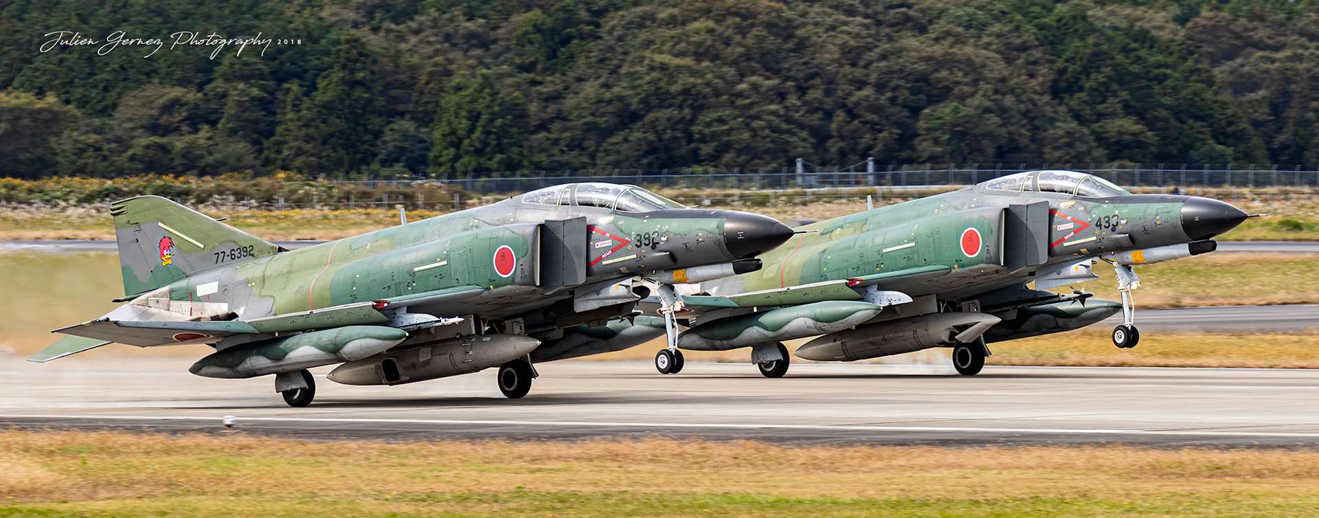 Mc Donnell Douglas RF-4EJ Phantom II - Japan Air Self Defense Force - Teisatsu Kokutai / 501 Hikotai