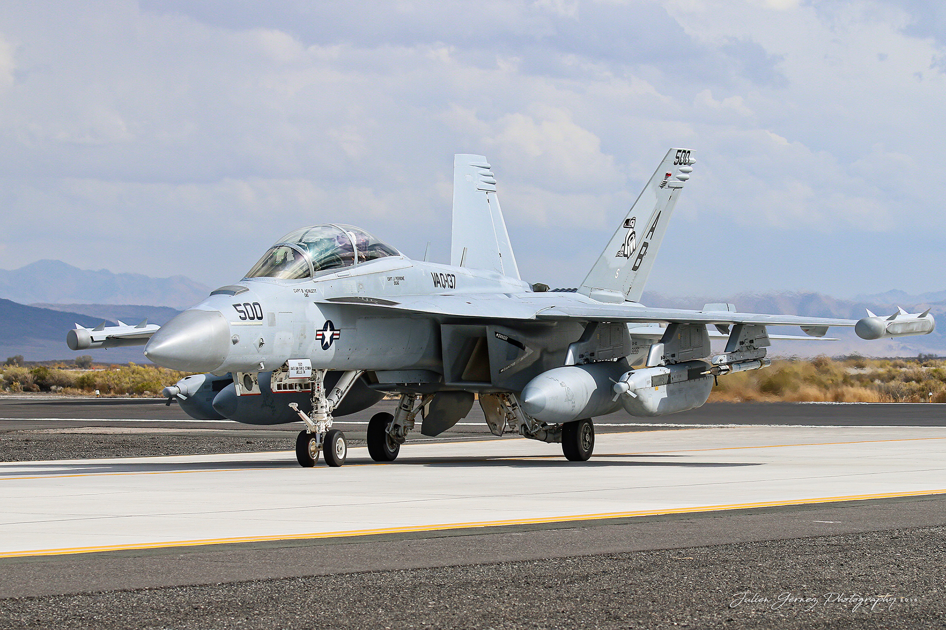 Boeing EA-18G Growler - US Navy - VAQ-137 "Rooks"
