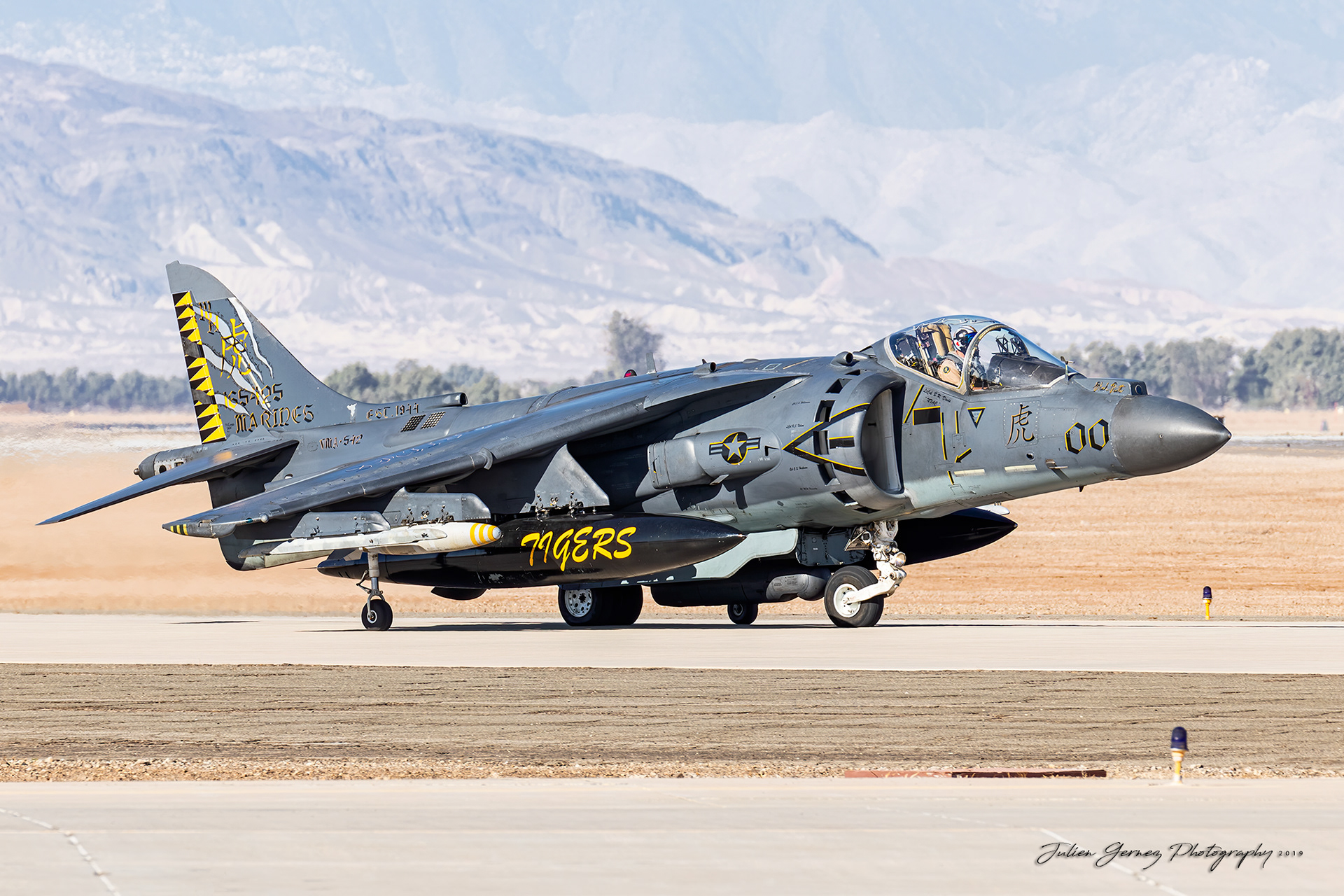Mc Donnell Douglas AV-8B Harrier II+ - US Marines Corps - VMA-542 "Flying Tigers"