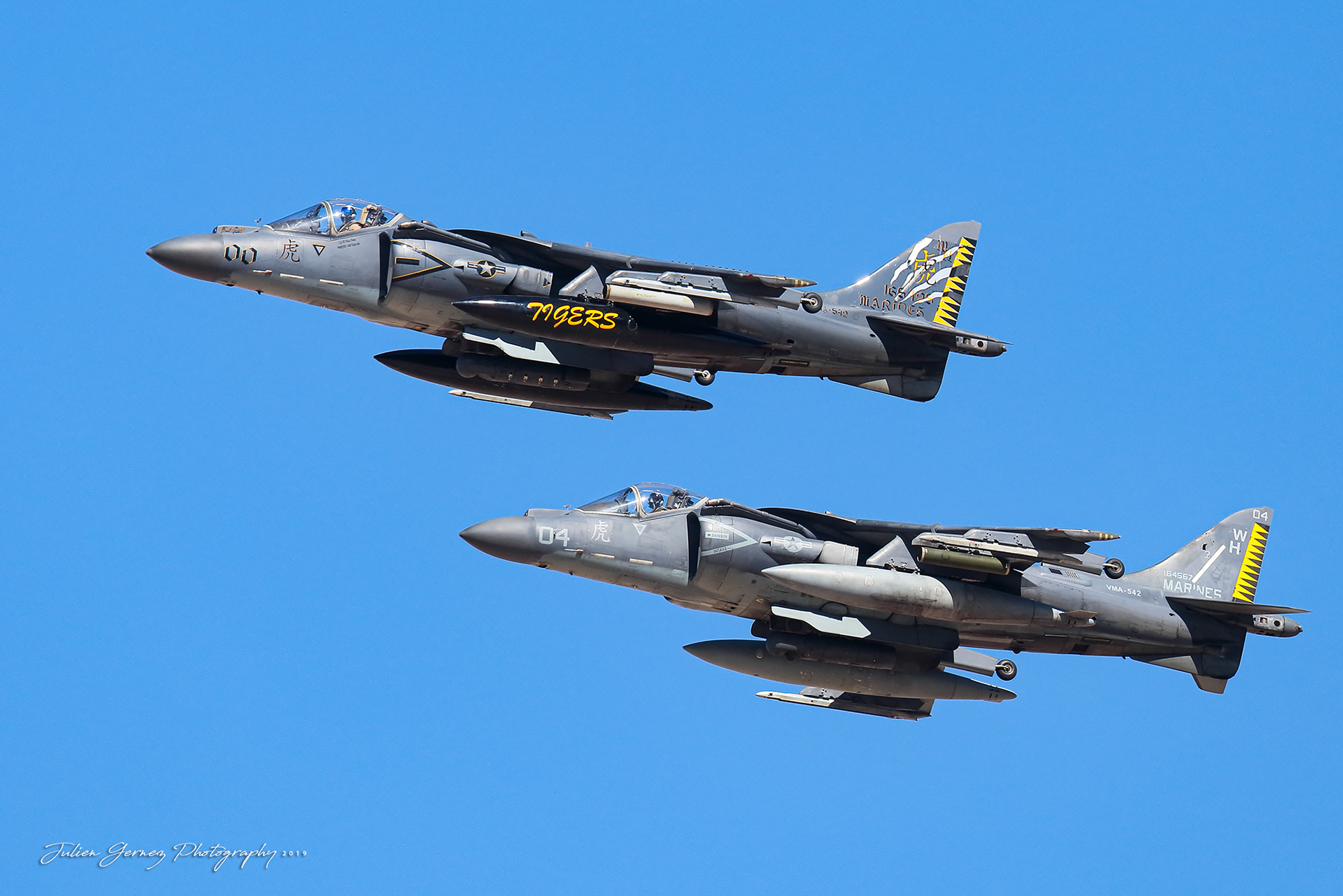 Mc Donnell Douglas AV-8B Harrier II+ - US Marines Corps - VMA-542 "Flying Tigers"