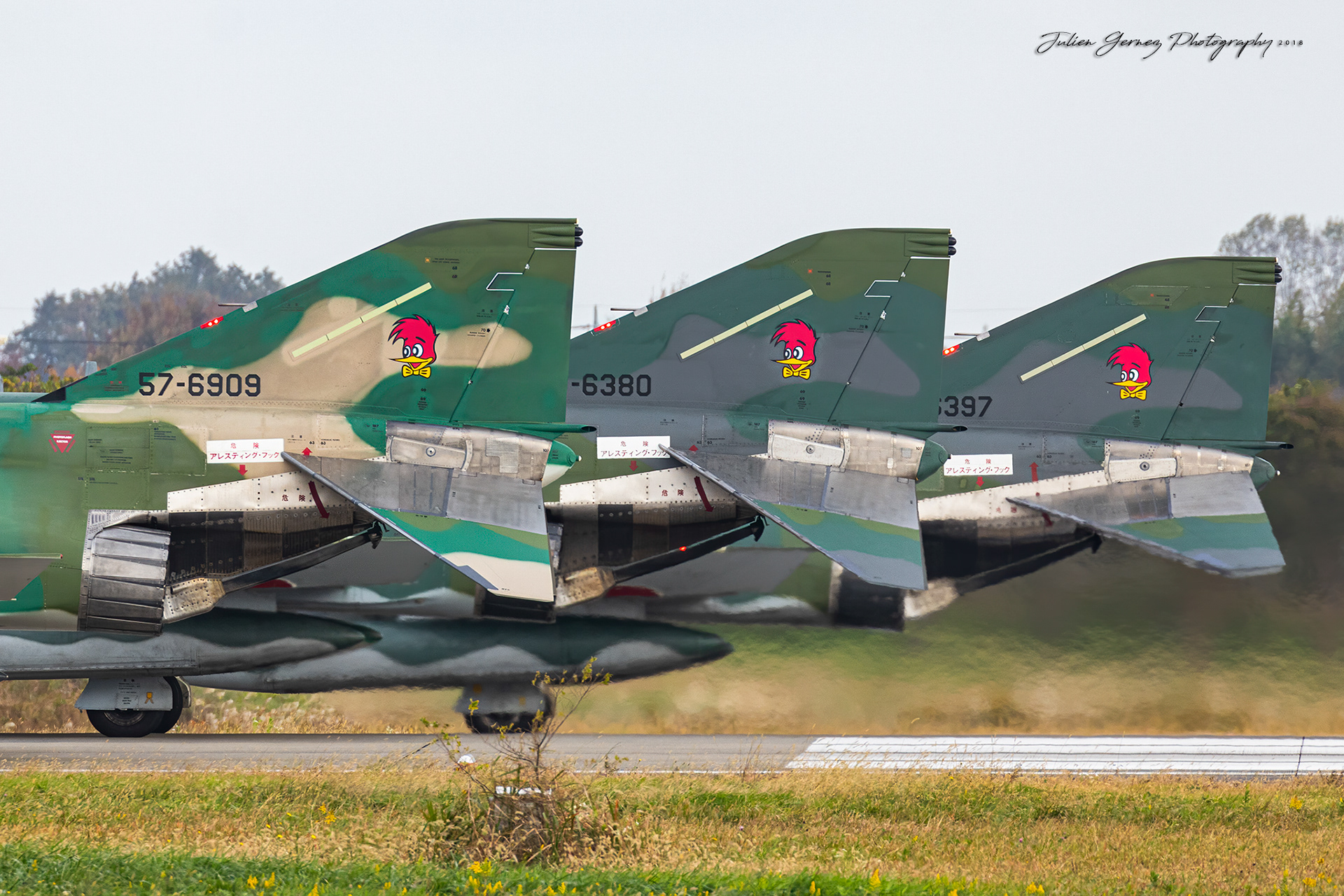 Mc Donnell Douglas RF-4E Phantom II - Japan Air Self Defense Force - Teisatsu Kokutai / 501 Hikotai